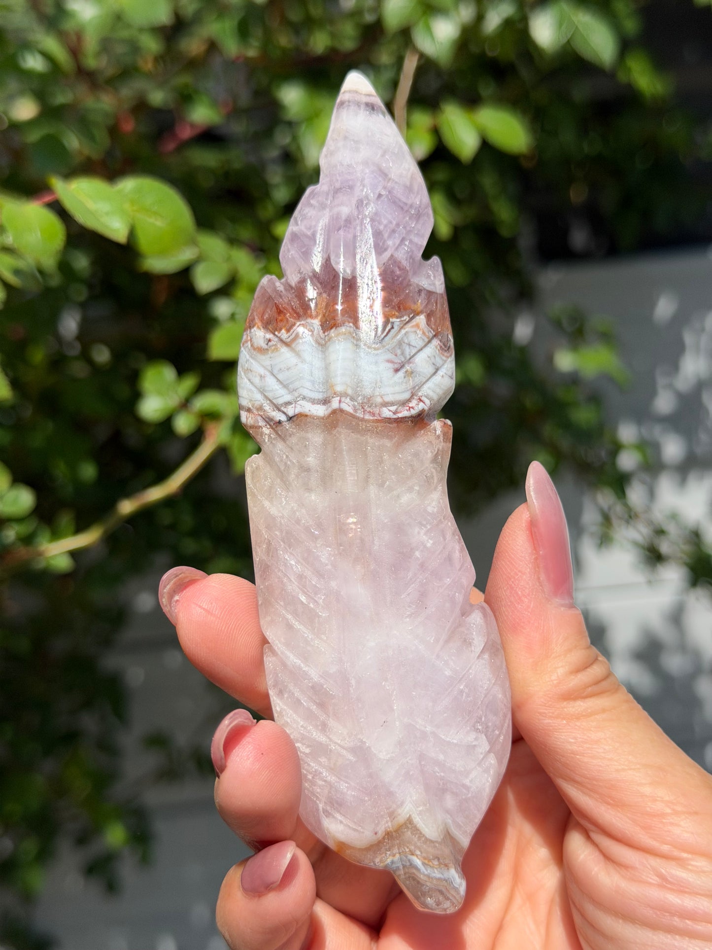5 PCs Natural Amethyst Lace Agate Feather Carvings Crystal Healing Energy