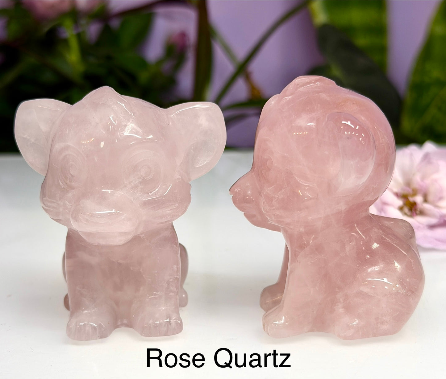 5PCs 6cm Mixed Natural Crystal Lion Cub King Healing Energy