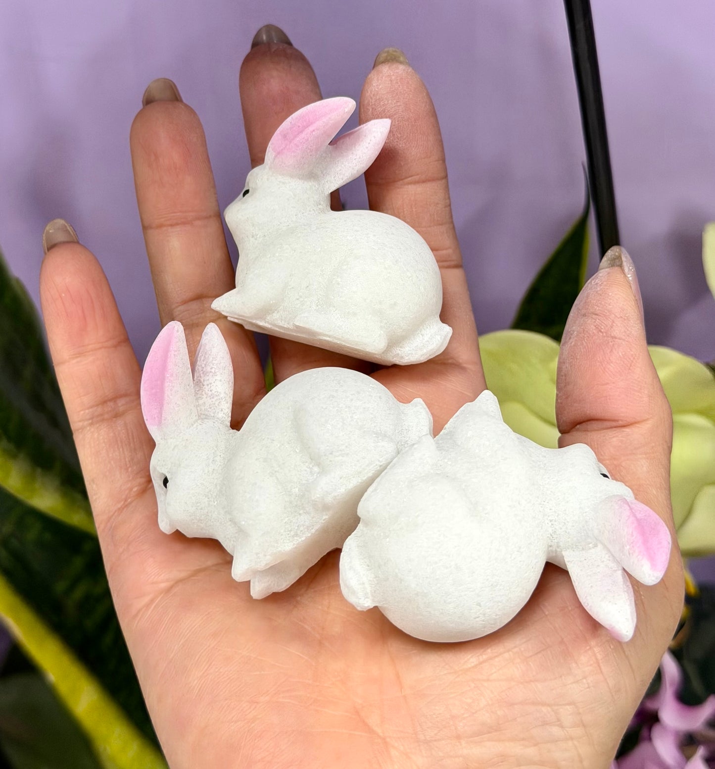 8 PCs Natural Snow Quartz Rabbit Bunny Crystals Healing Energy 5cm