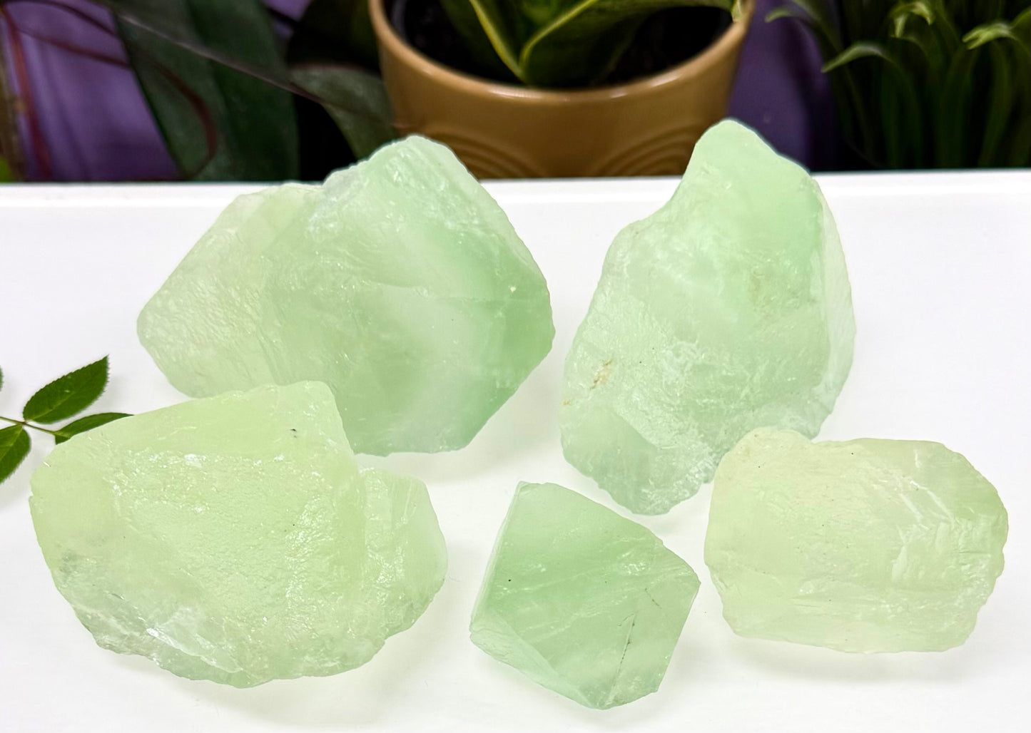2 lbs Natural Green Fluorite Rough Crystals Healing Energy