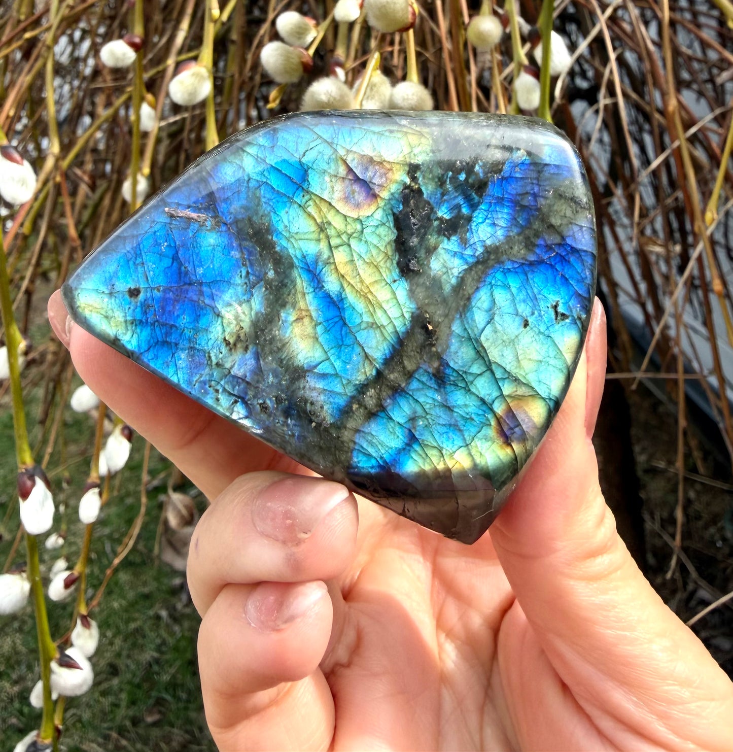 Wholesale Lot 3 lbs Natural Labradorite Freeform Crystal Healing Energy