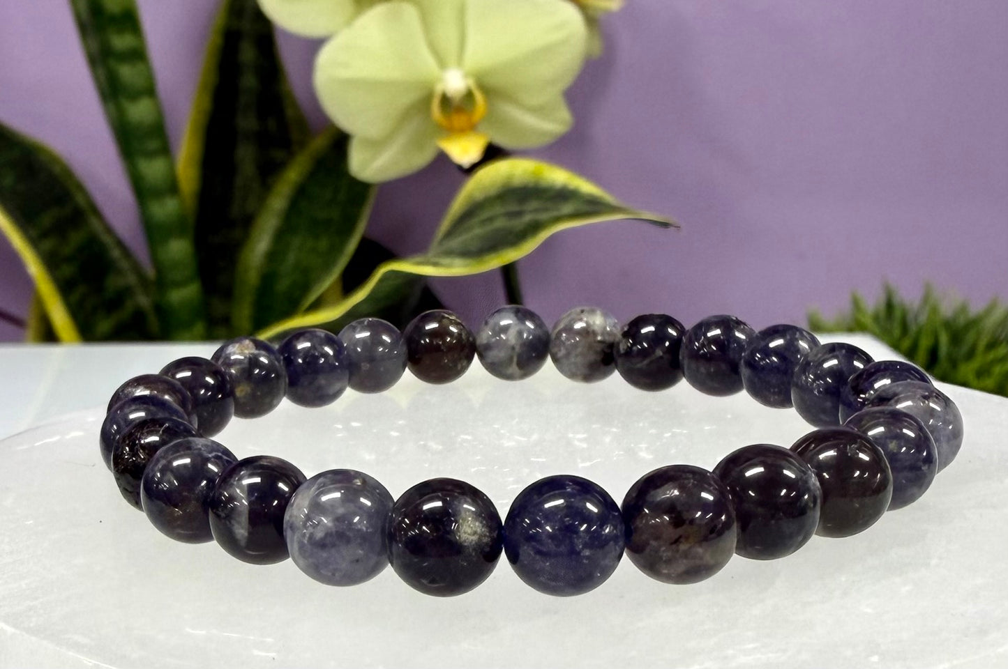 Wholesale Lot 6 Pcs Natural Iolite 8mm 7.5” Crystal Healing Stretch Bracelet