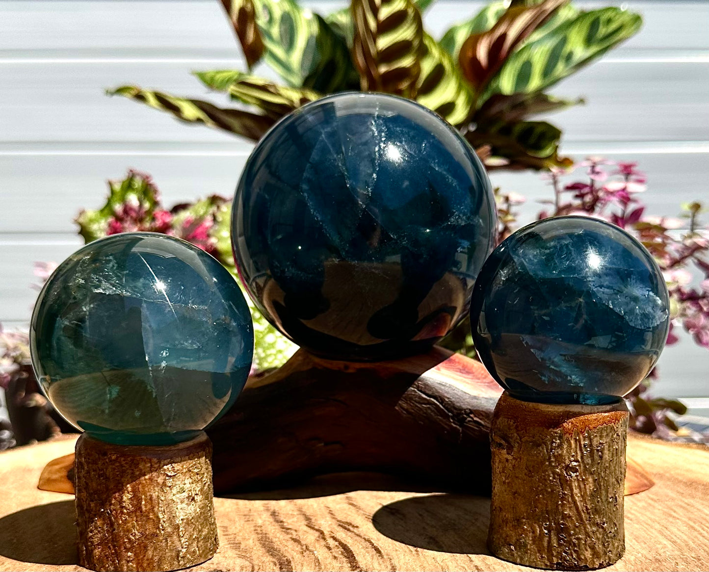 Wholesale Lot 4 to 5 Pcs Natural Blue Fluorite Sphere Crystal Ball 4.8 to 5 lbs  Healing Energy