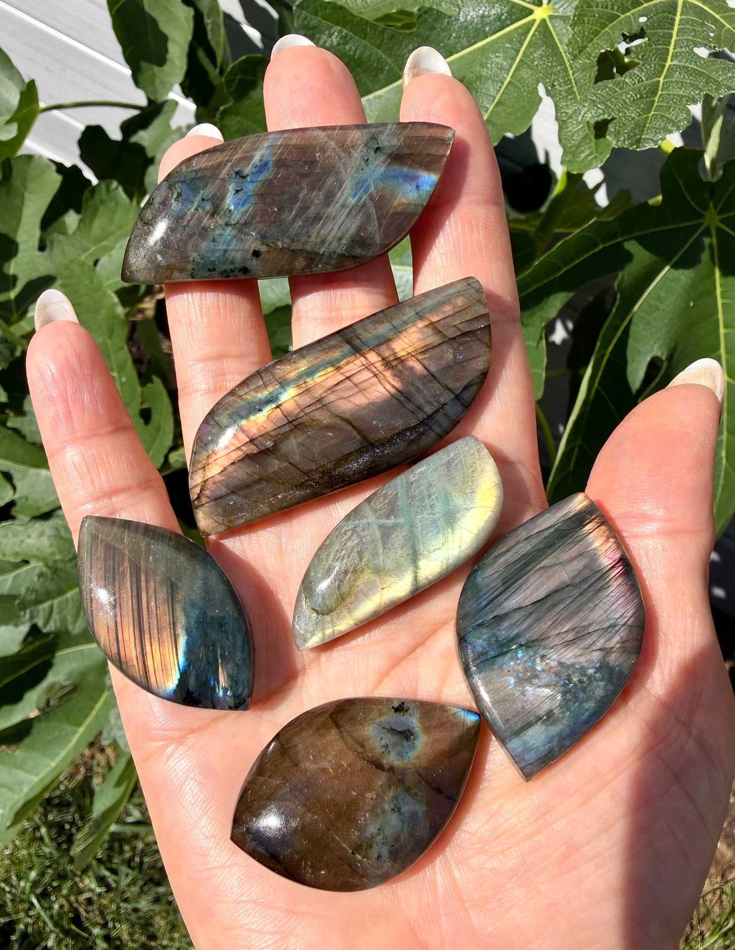 Wholesale Lot 12 pcs Natural Sunset Labradorite Cabochon Crystal Healing Energy