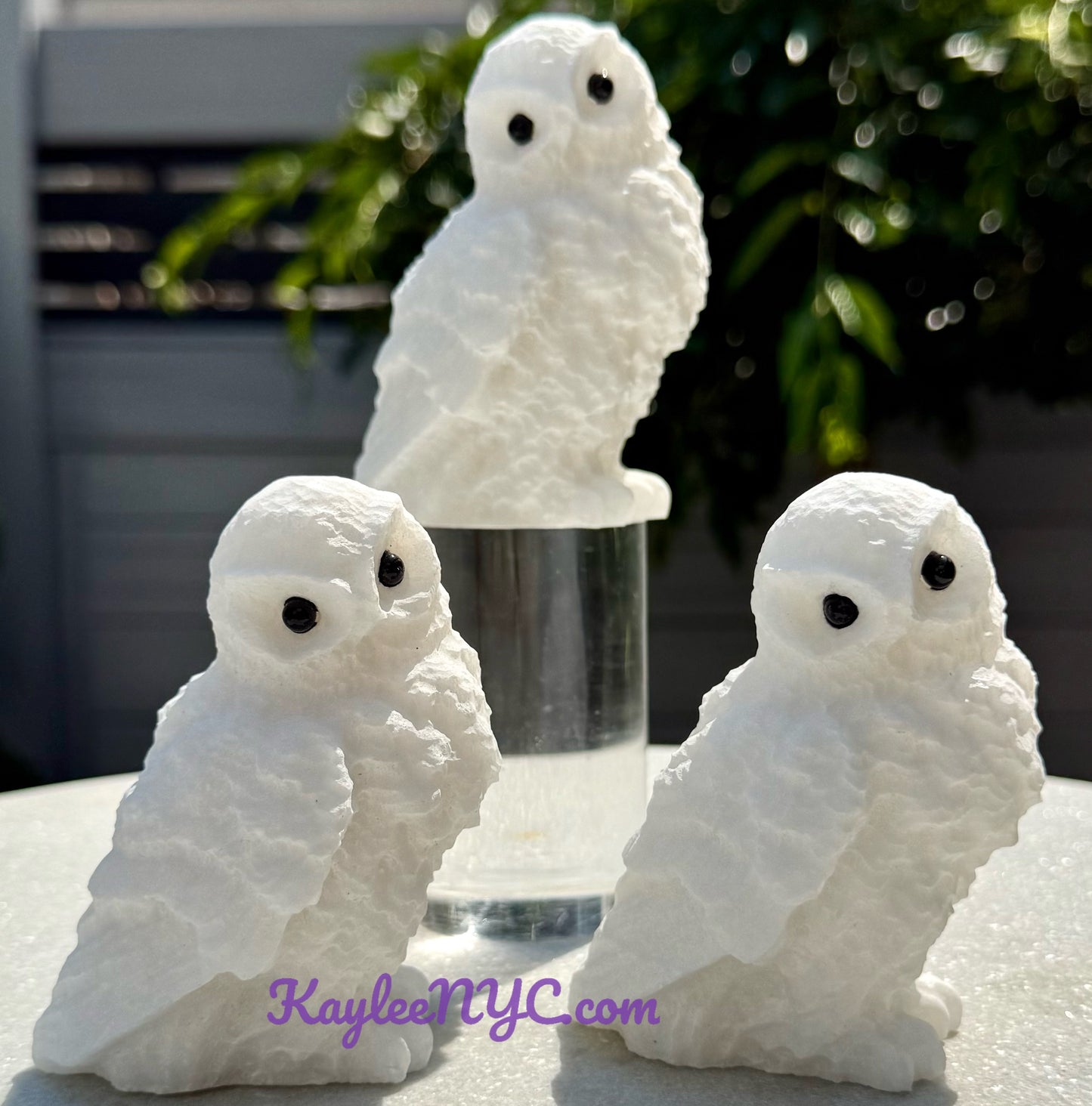3 PCs Natural Snow Quartz Owls Crystals Healing Energy