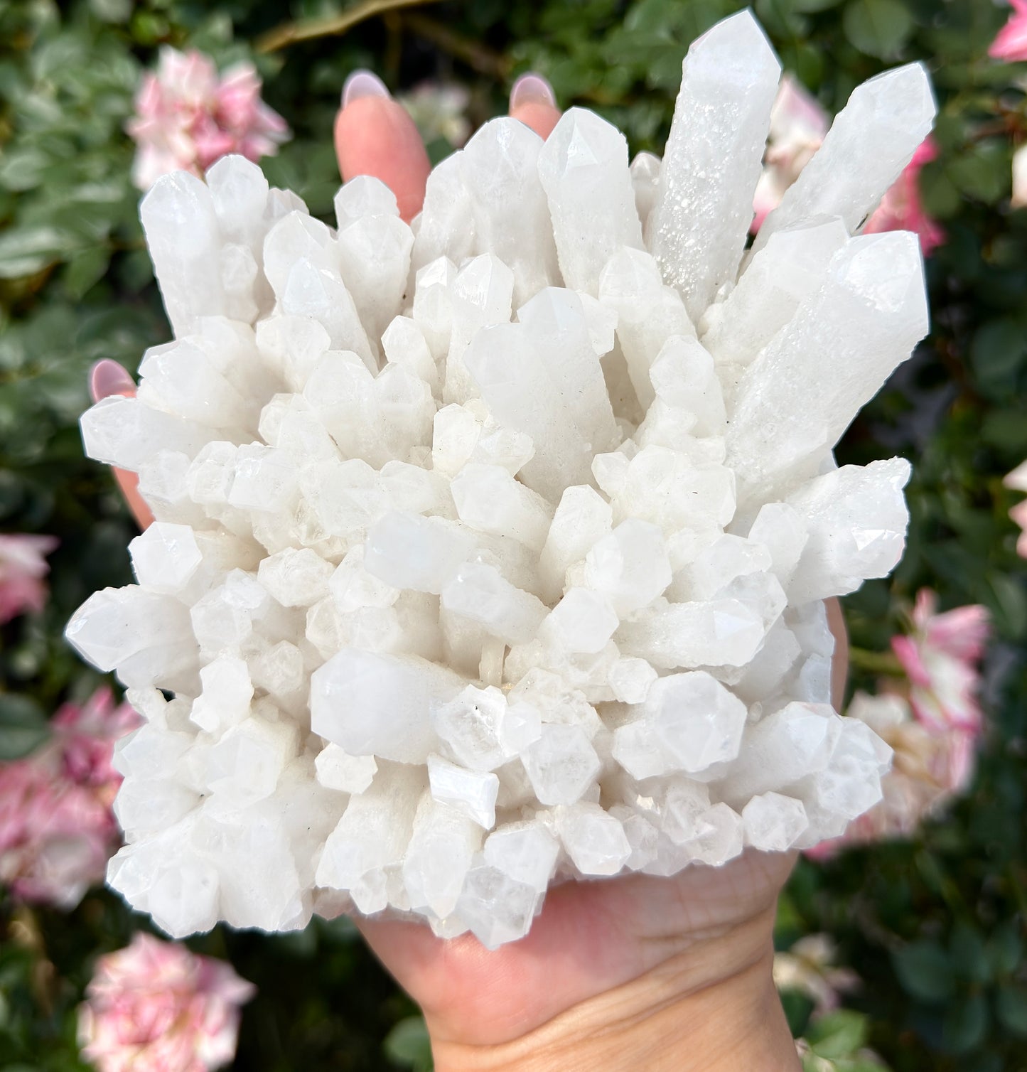 Wholesale Lot 4-6 pcs Natural Druzy Quartz Cluster Rough Crystal Healing Energy