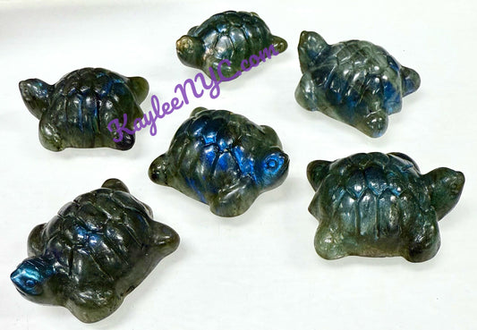 6 PCs 5cm Natural Labradorite Turtle healing energy