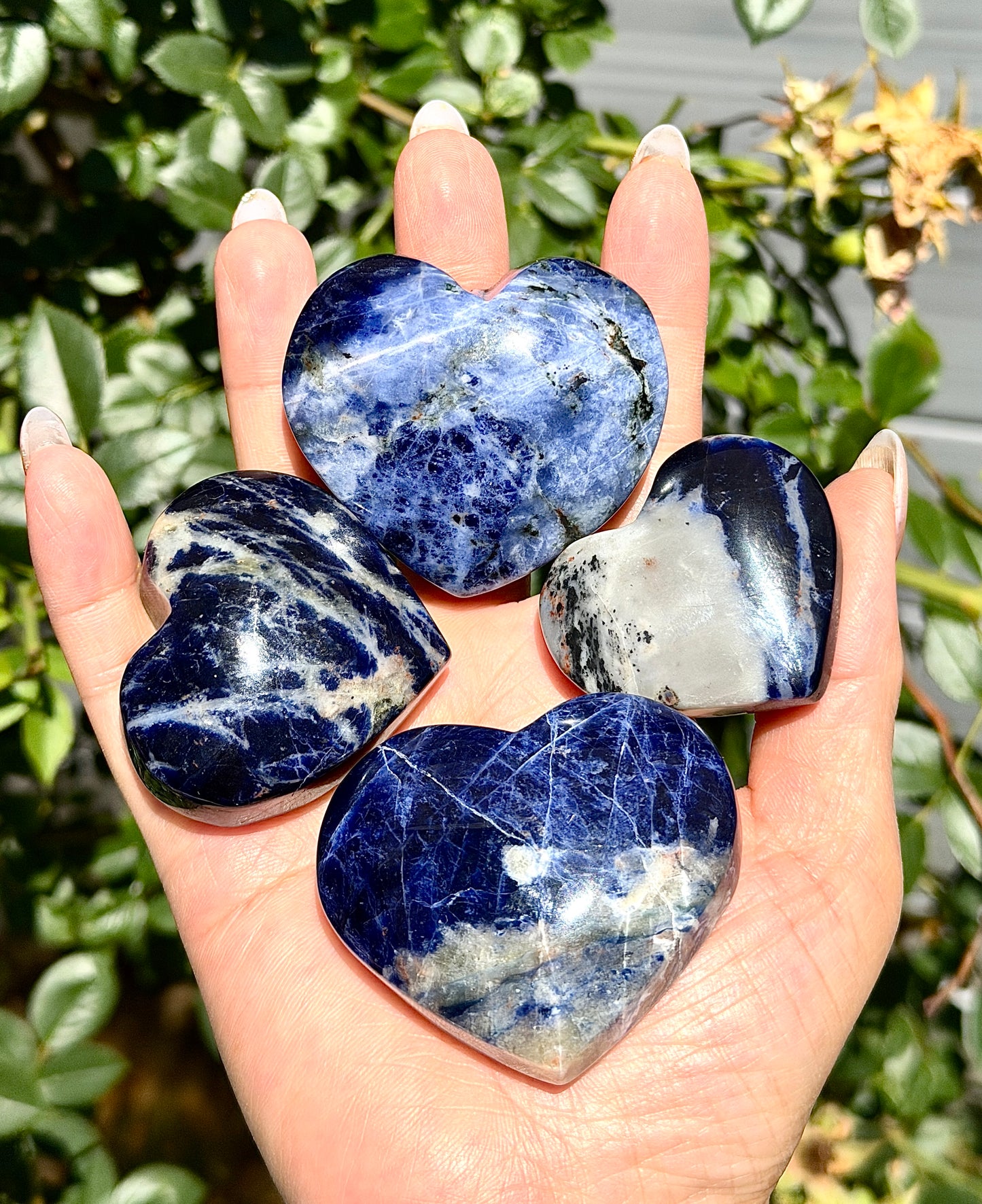Wholesale 2 Lb Lot Natural Sodalite Heart Crystal Energy
