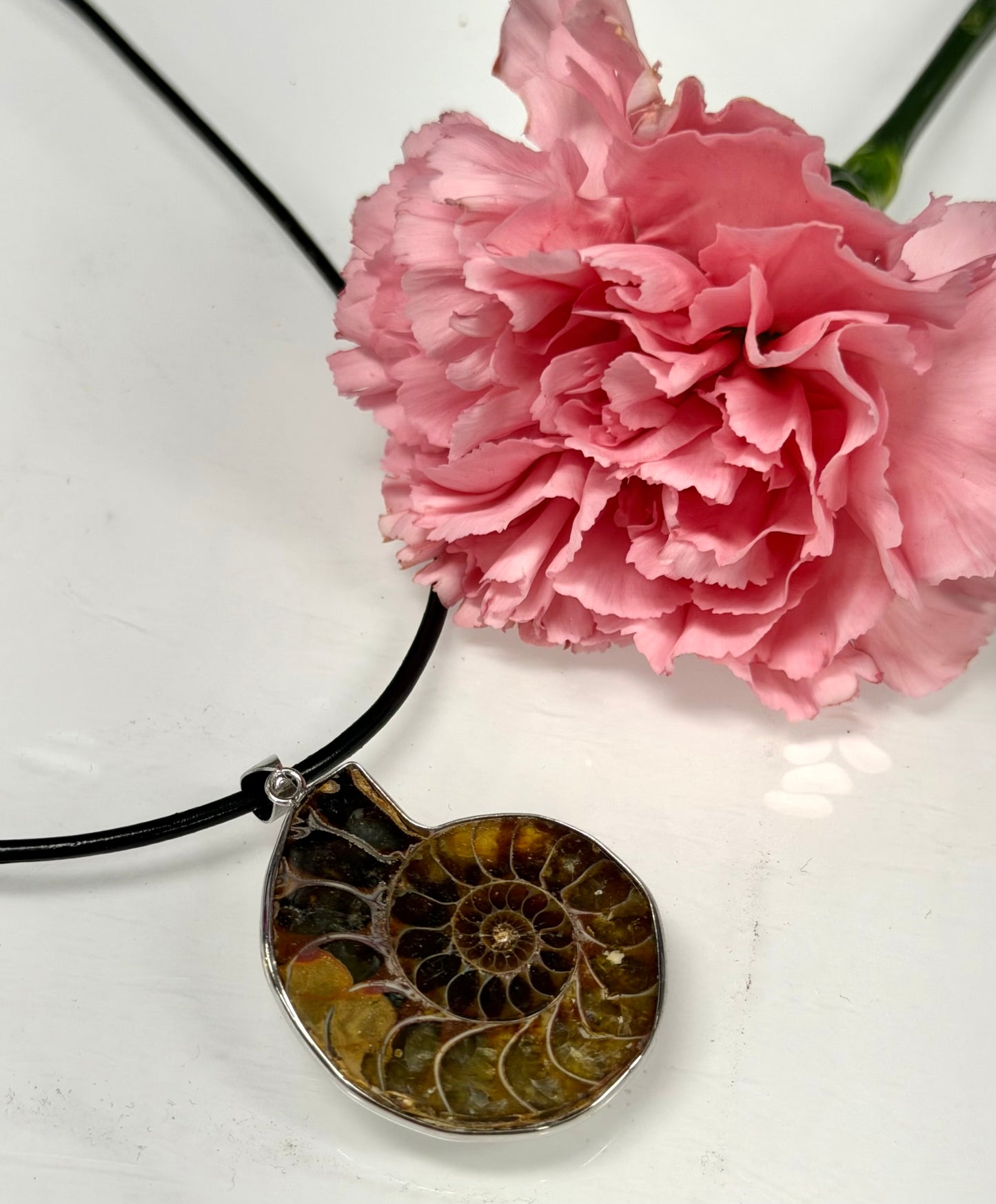 Wholesale Lot 12 Pcs Ammonite Pendant with Rhodium Findings Healing Crystal Energy