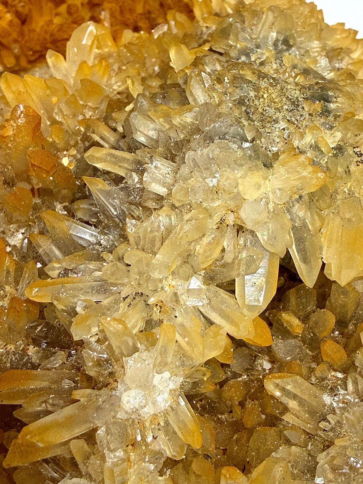 2 lbs Natural Yellow Chrysanthemum Quartz Cluster Crystal