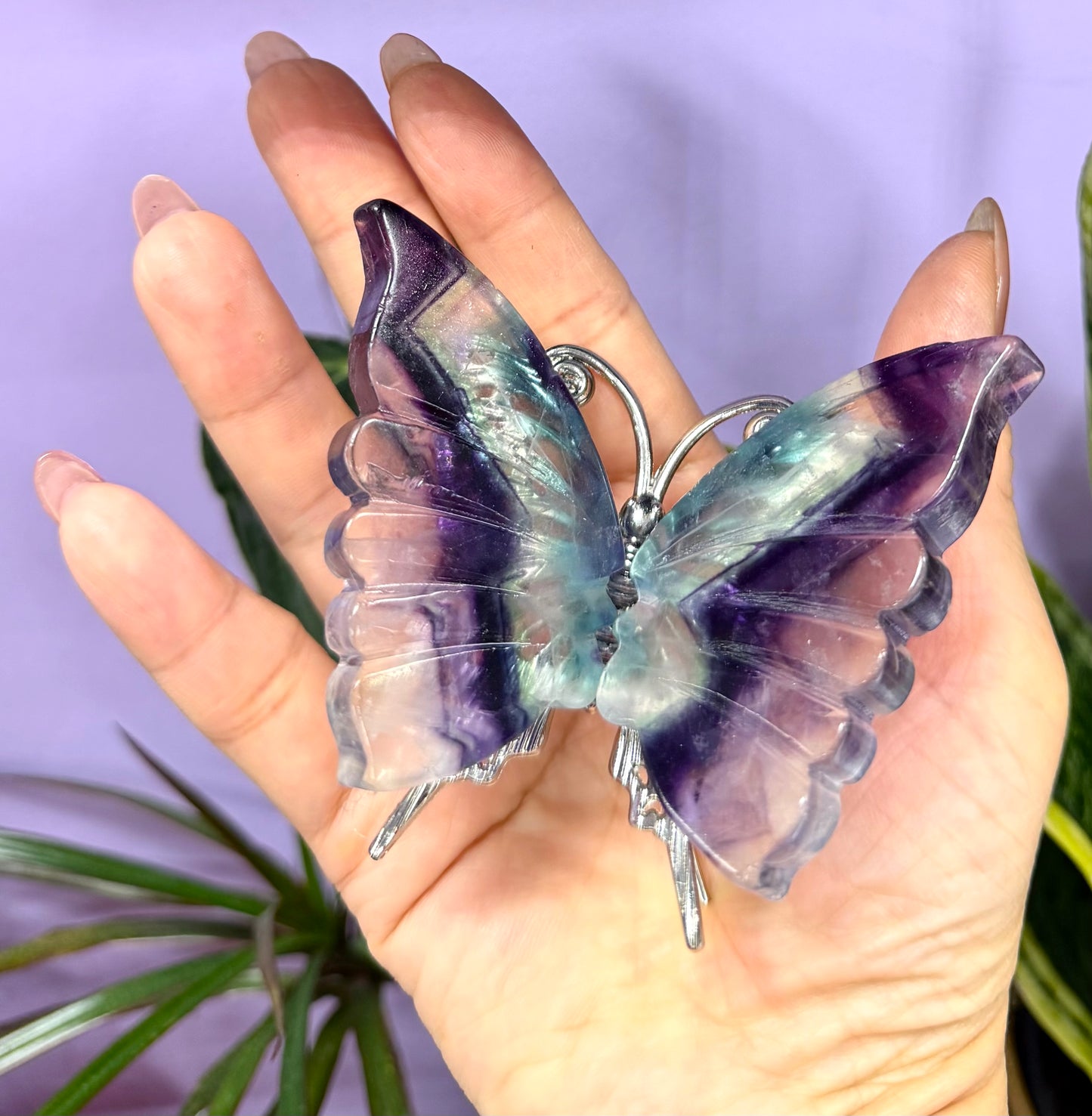 Wholesale Lot 5 PCs Natural Fluorite Crystal Butterfly w/stand Healing Energy