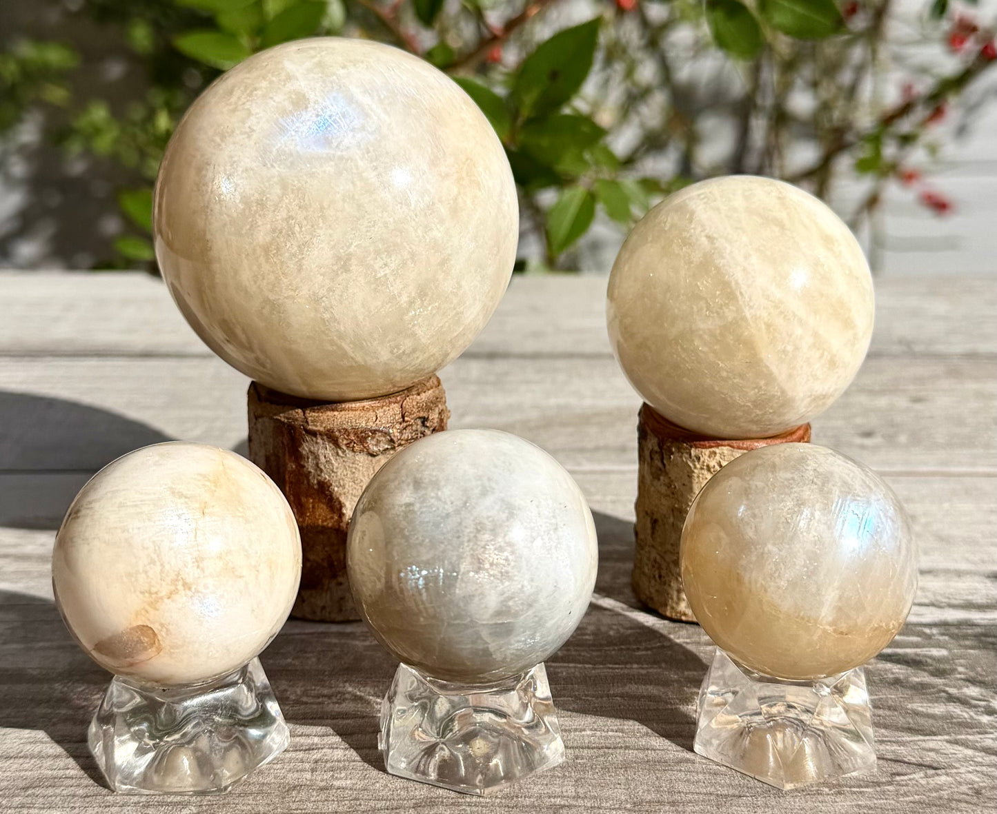Wholesale Lot 5 Pcs Natural Moonstone Spheres Crystal Ball 1.9-2 Lb Healing Energy