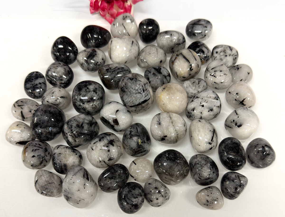 Wholesale Lot 2 Lbs Natural Tourmalinated Quartz Tumble Healing Energy Nice Quality