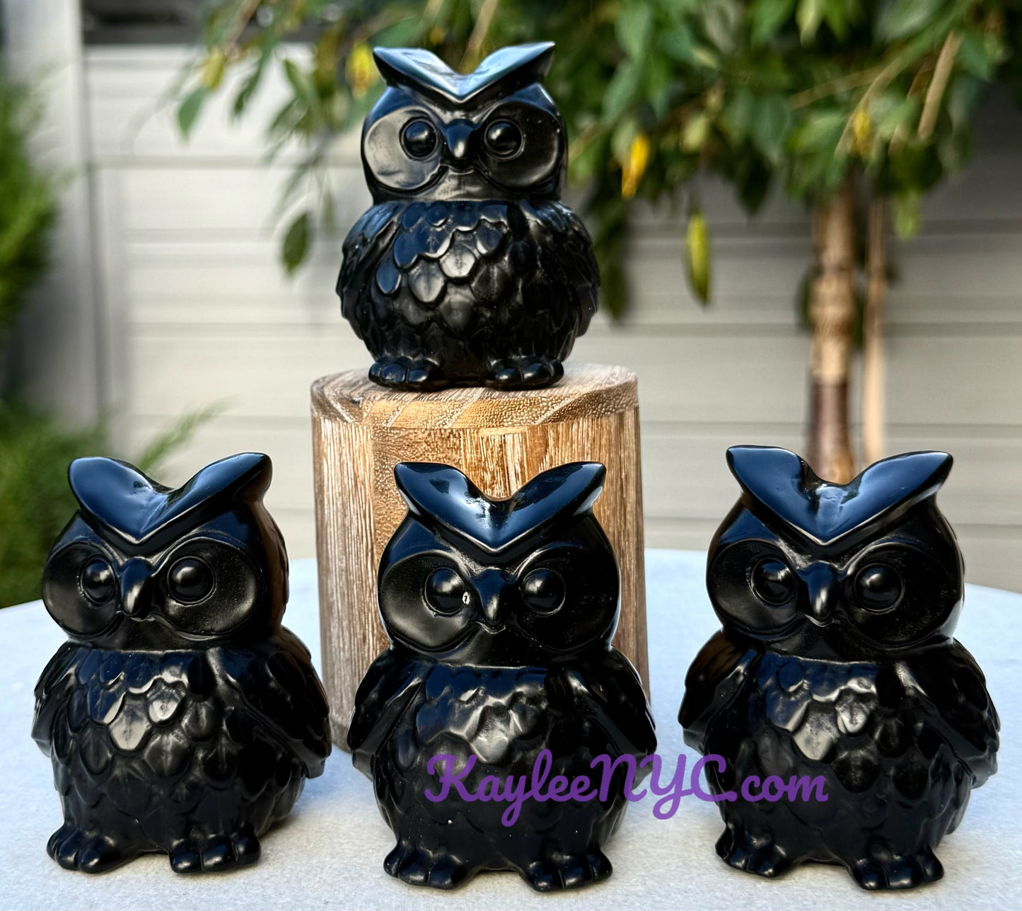 Wholesale Lot 4 pcs Natural Black Obsidian Owls Crystals Healing Energy