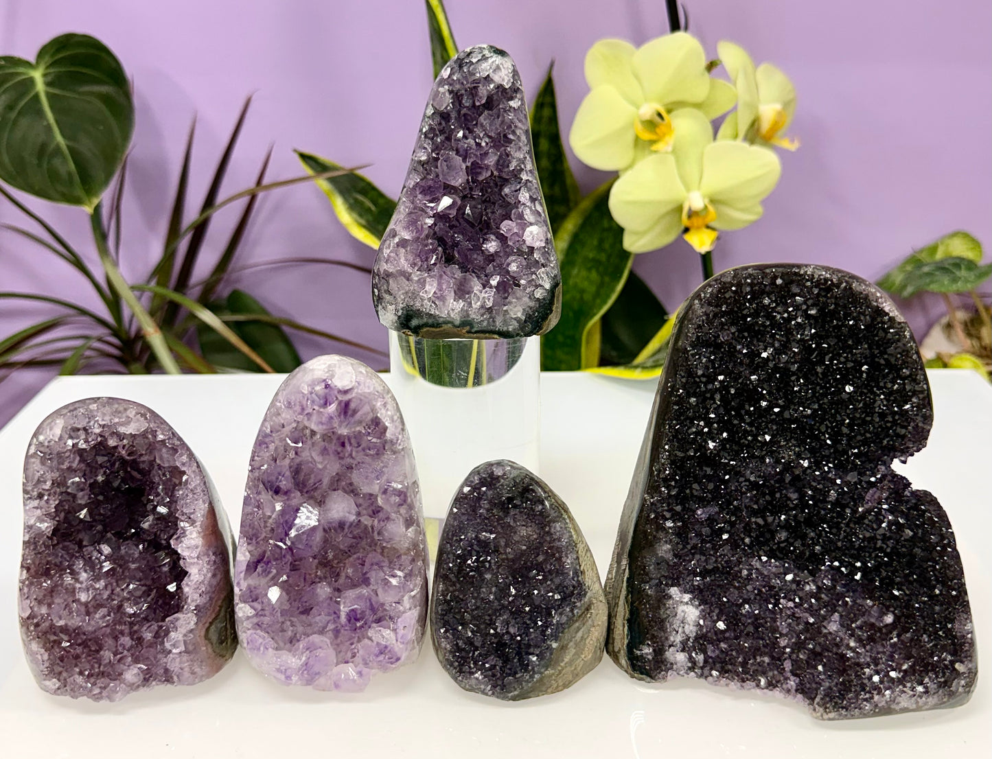 Wholesale Lot 4-5 pcs NaturalAmethyst cut base 4.8-5lbs Healing Energy