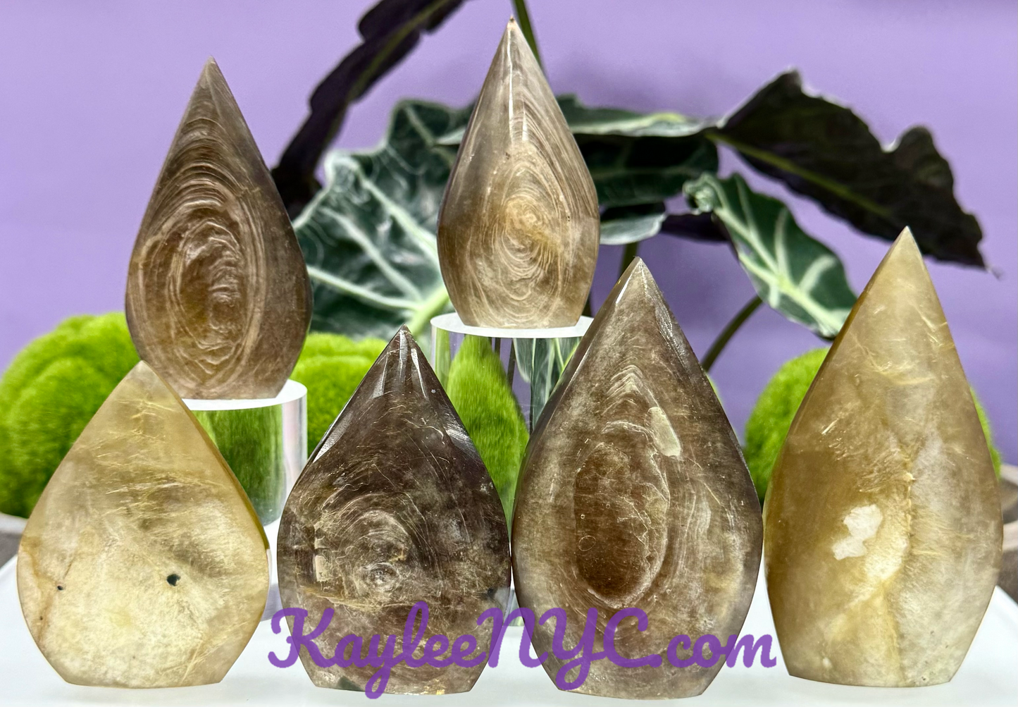 5-7 PCs Natural Muscovite Golden Mica Freeform