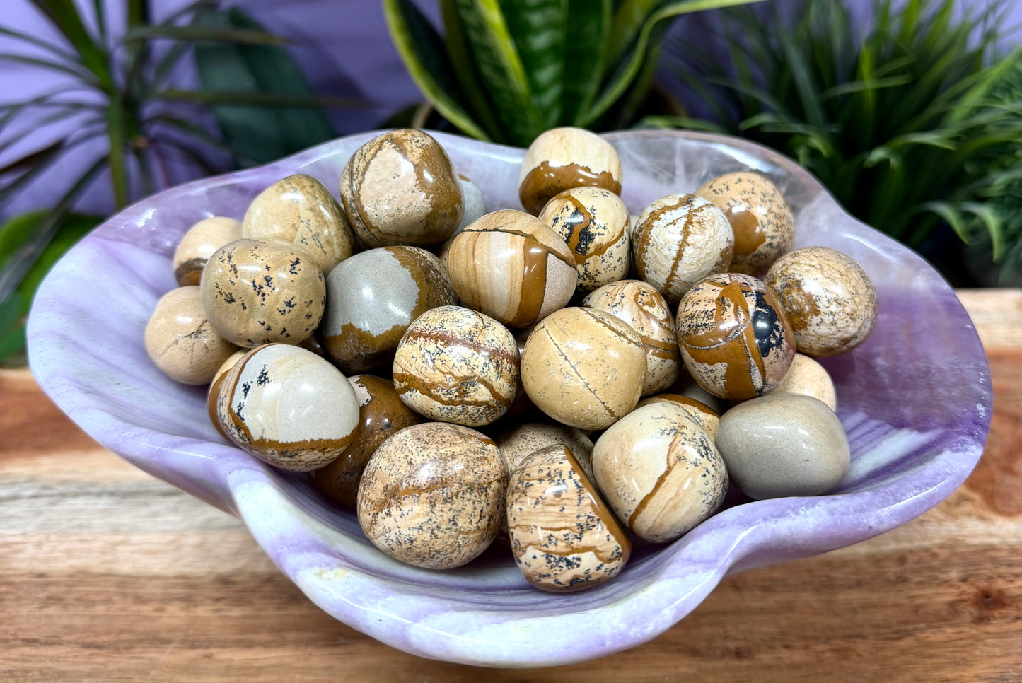 2 lbs Natural Picture Jasper Tumble Crystal Healing Energy