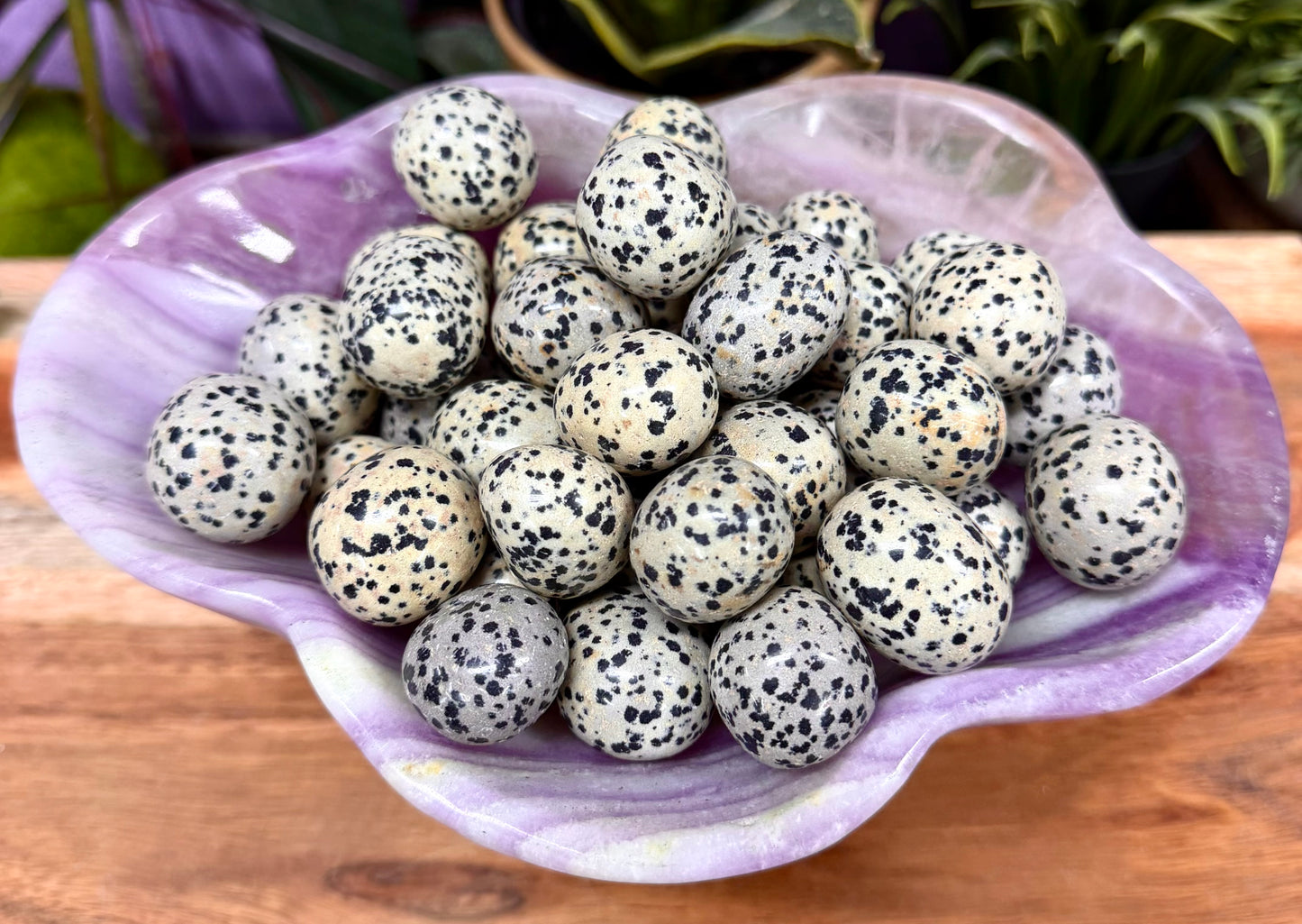 2 lbs Natural Dalmatian Jasper Tumble Crystal Healing Energy