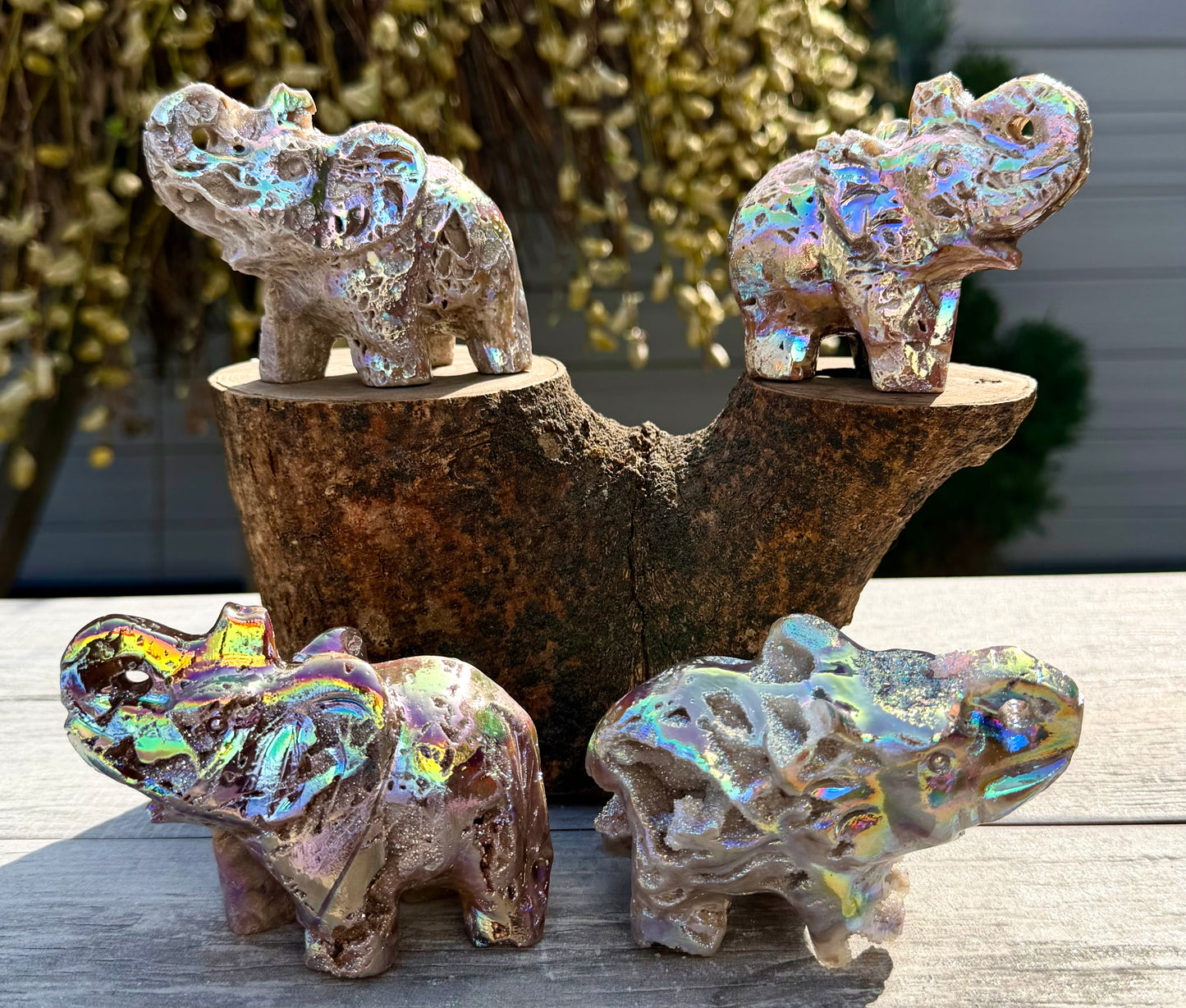 Wholesale Lot 4 Pcs Aura Sphalerite Elephant carvings Crystal healing energy