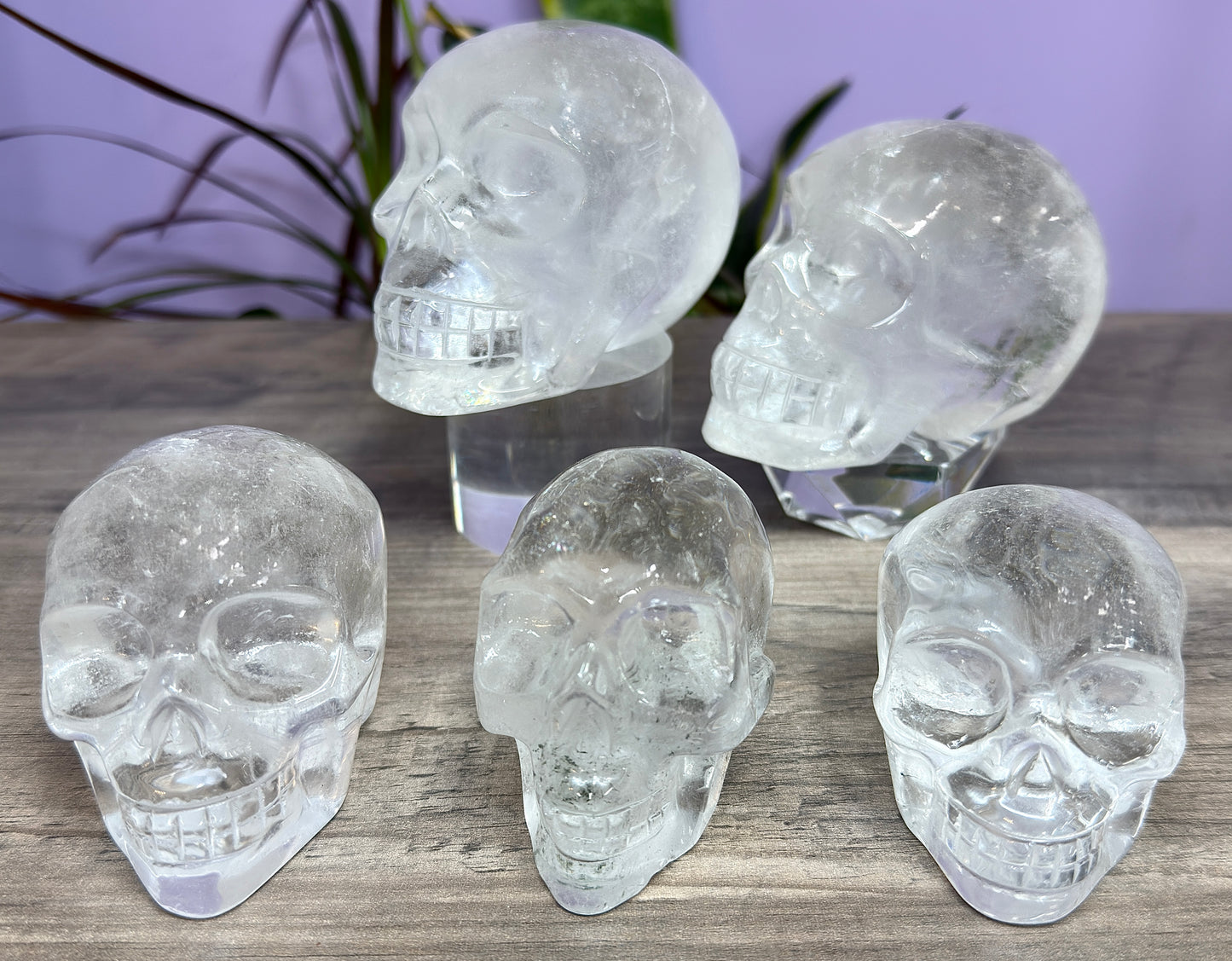 Wholesale lot 4-6 Pcs Clear Quartz Skull Bowl Natural Crystal healing energy