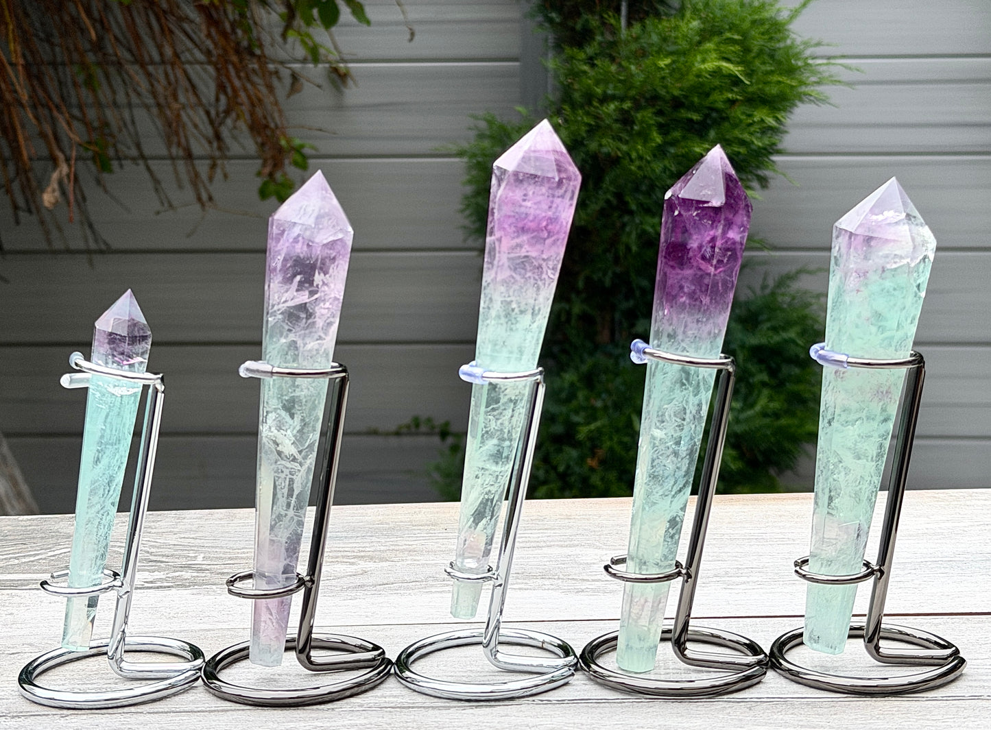 Wholesale Lot 5 pcs Natural Watermelon Fluorite Scepter w stand Crystal Energy