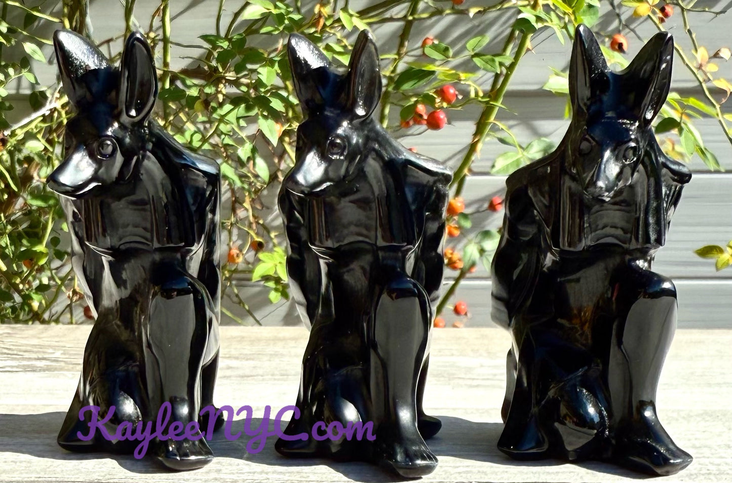 Wholesale Lot 3 pcs 10cm Natural Black Obsidian Anubis Crystals Healing Energy
