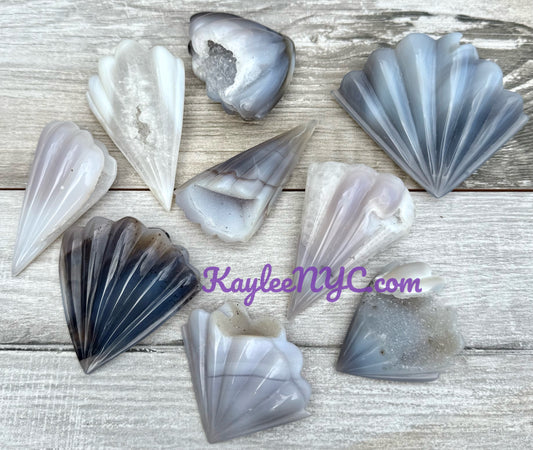 6-9 PCs Natural Druzy Agate Shell Crystals Healing Energy