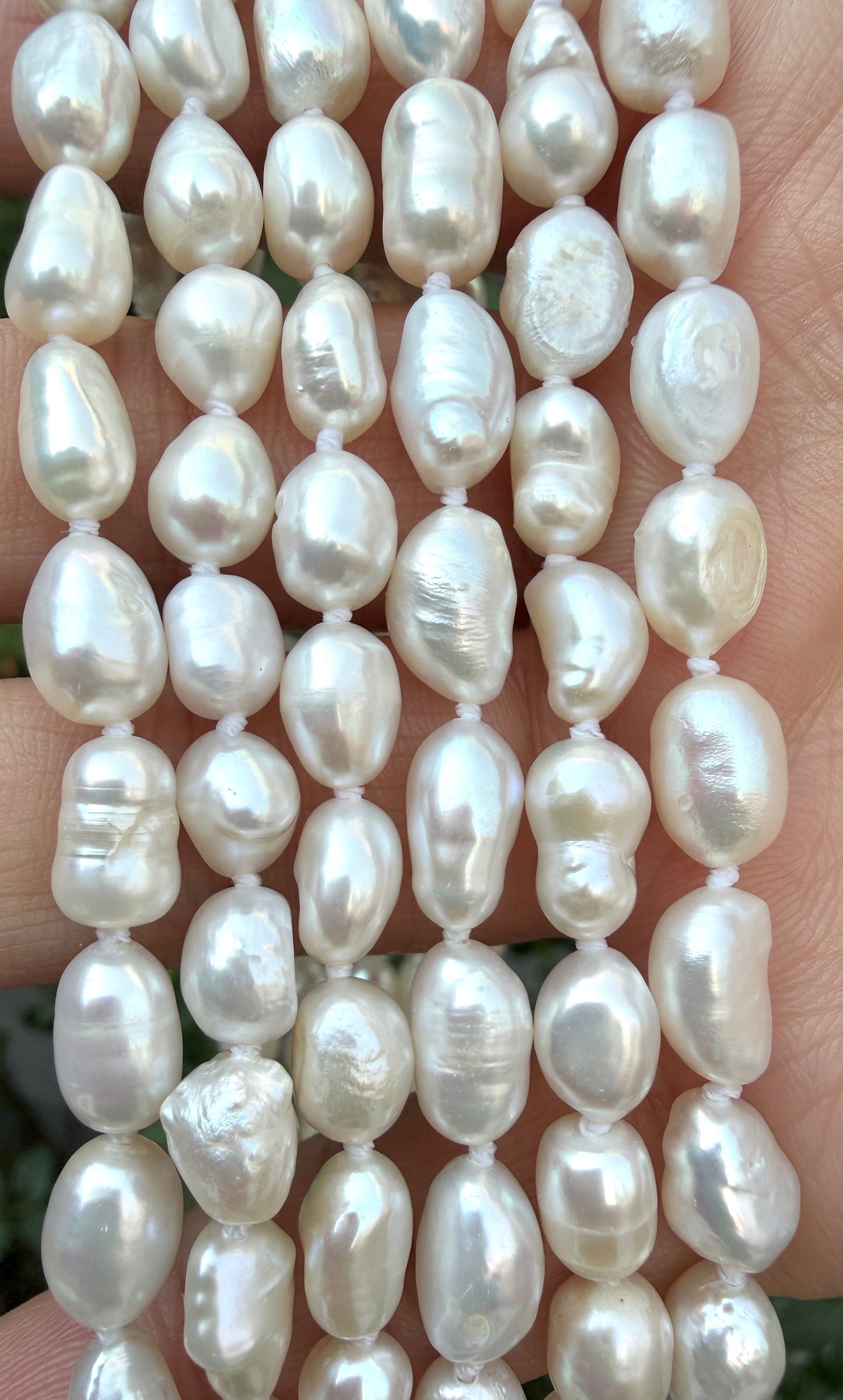 6 PCs 6 pcs ~6.5mm Natural Freshwater Pearl Necklace Healing Energy