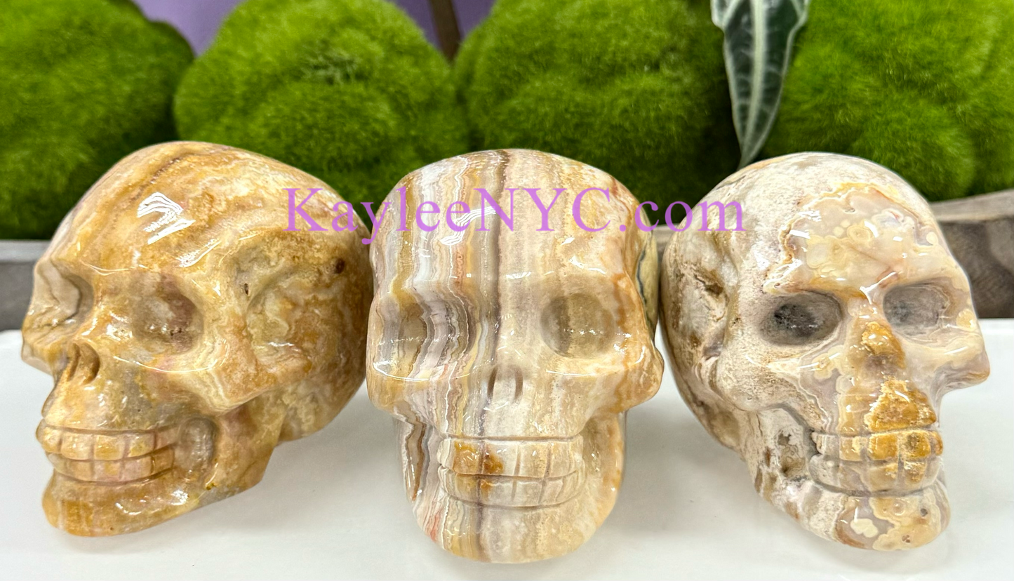 Wholesale lot 3 Pcs Natural Crazy Lace Agate Crystal Skull