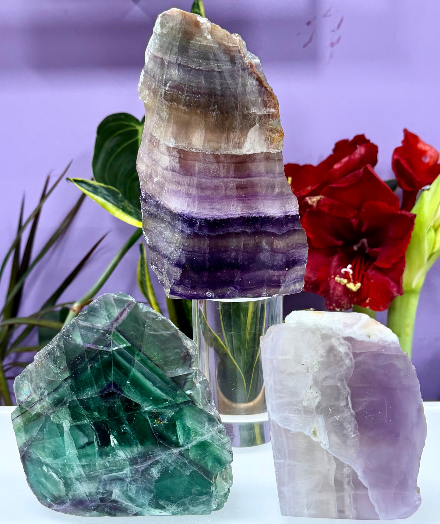 3-4 PCs Natural Rainbow Fluorite semi polished Slabs