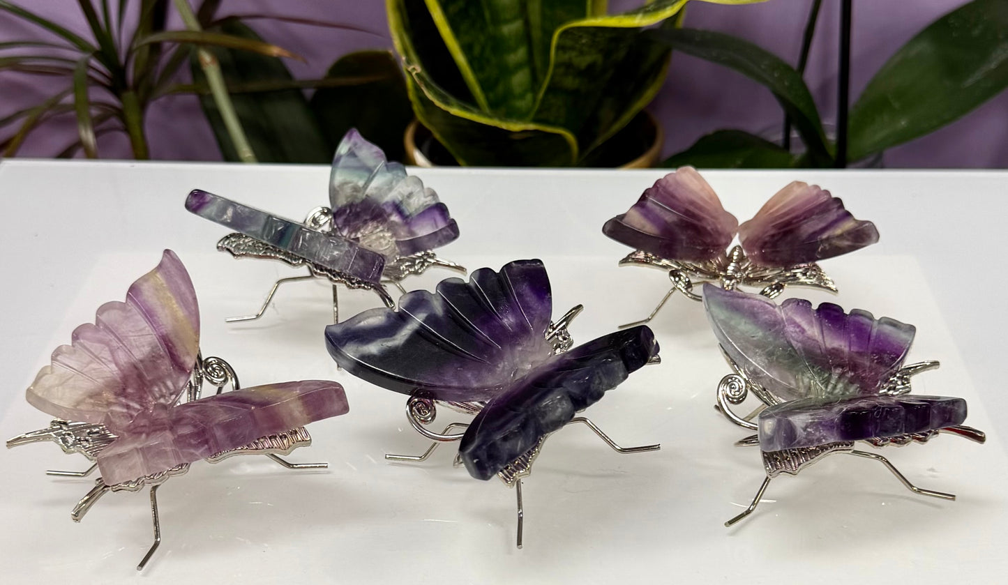 Wholesale Lot 5 PCs Natural Fluorite Crystal Butterfly w/stand Healing Energy