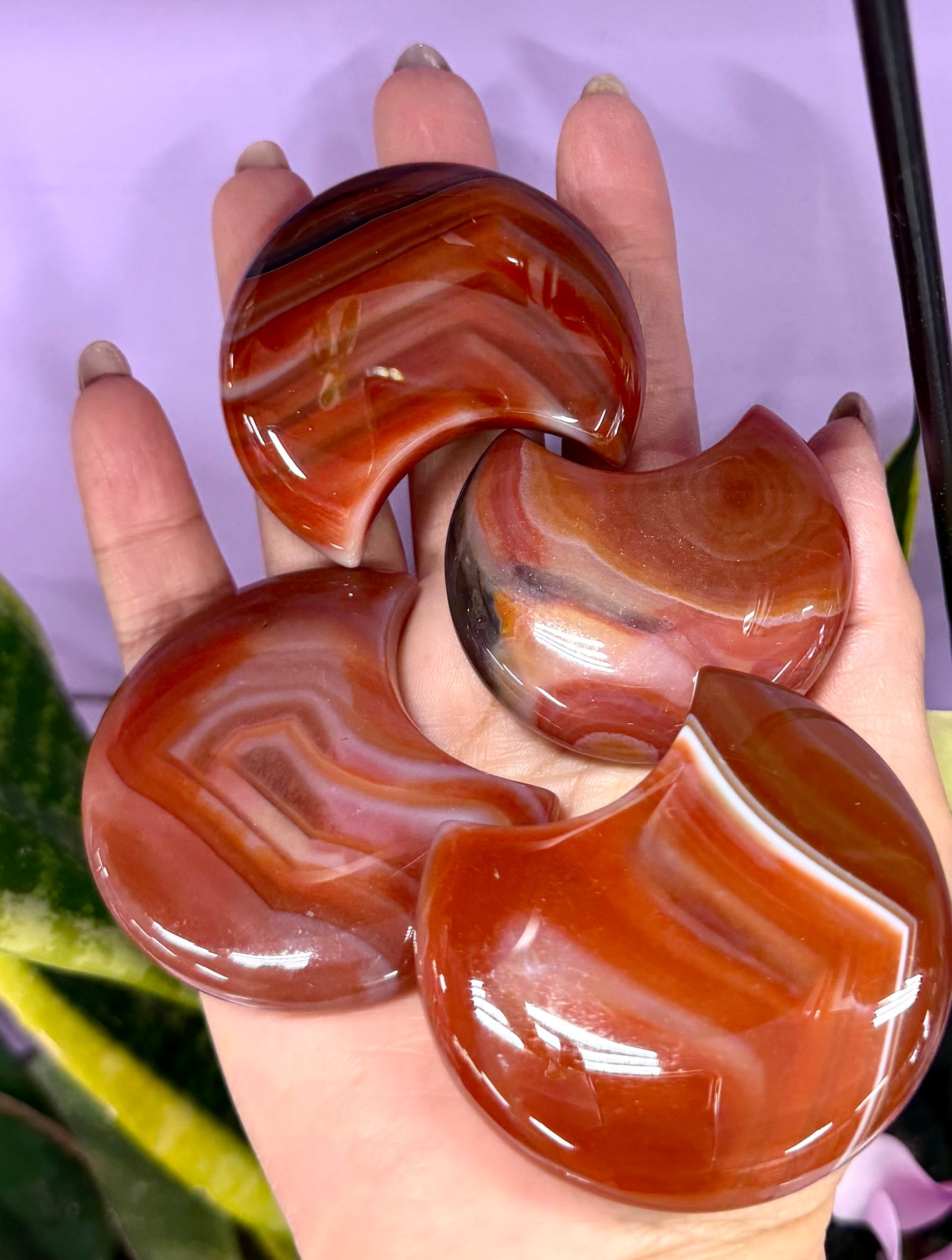 Wholesale Lot 2lb Natural Carnelian Crystal Moon Healing Energy