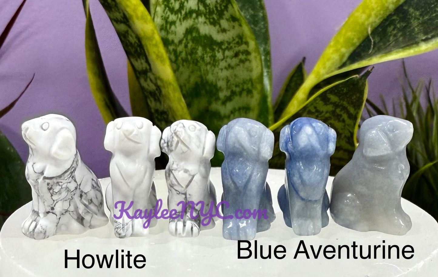 Wholesale Lot 16 PCs Mix Crystals Dogs Crystal Healing Energy