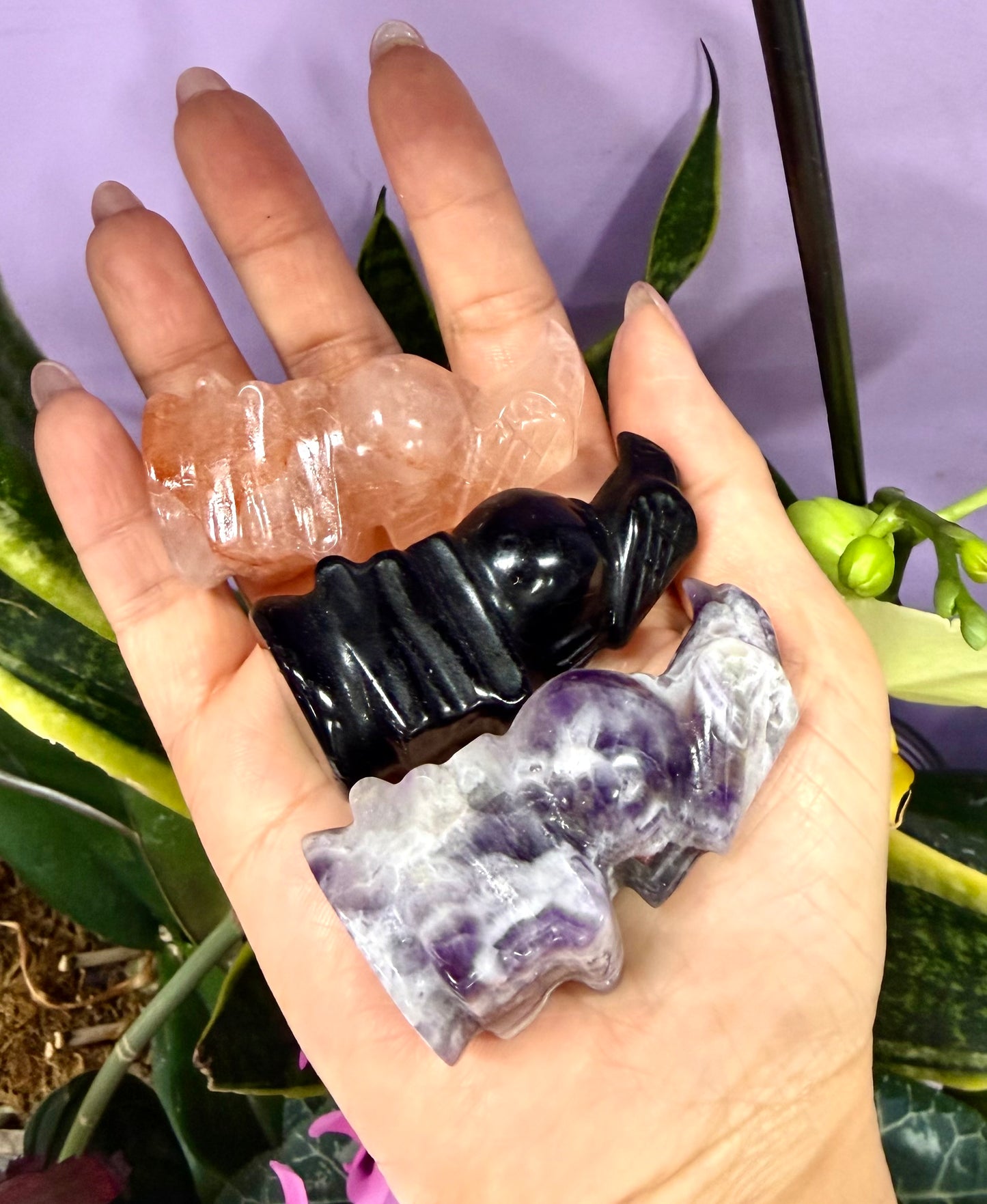 3 PCs Natural Crystal Skull with Crow