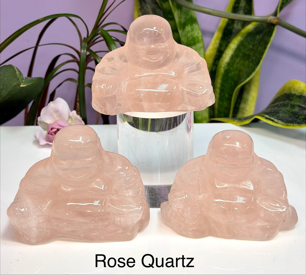 Wholesale Lot 8cm Mixed Natural Crystals Buddha Energy Healing