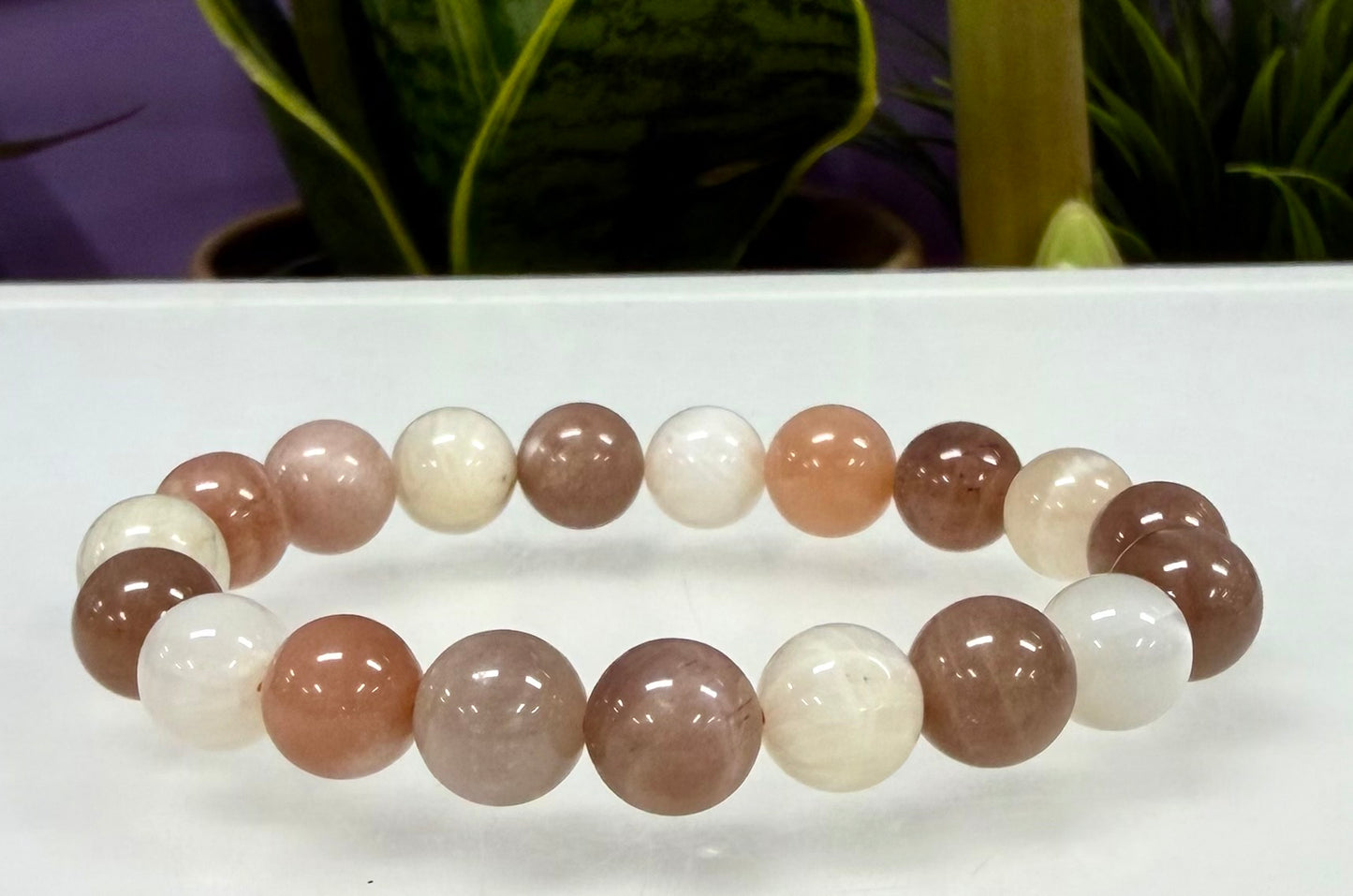 Wholesale Lot 6 Pcs Natural Mix Moonstone 10mm 8” Stretch Bracelet