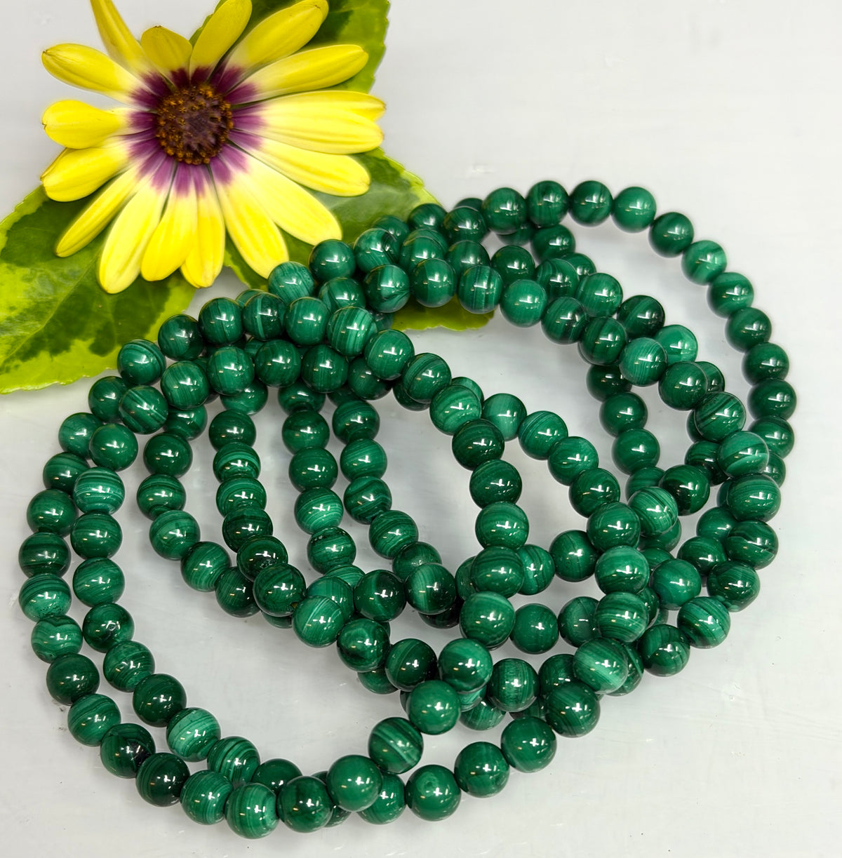 Wholesale 6 Pcs Natural Malachite 6mm 7.5” Crystal Healing Stretch Bracelet