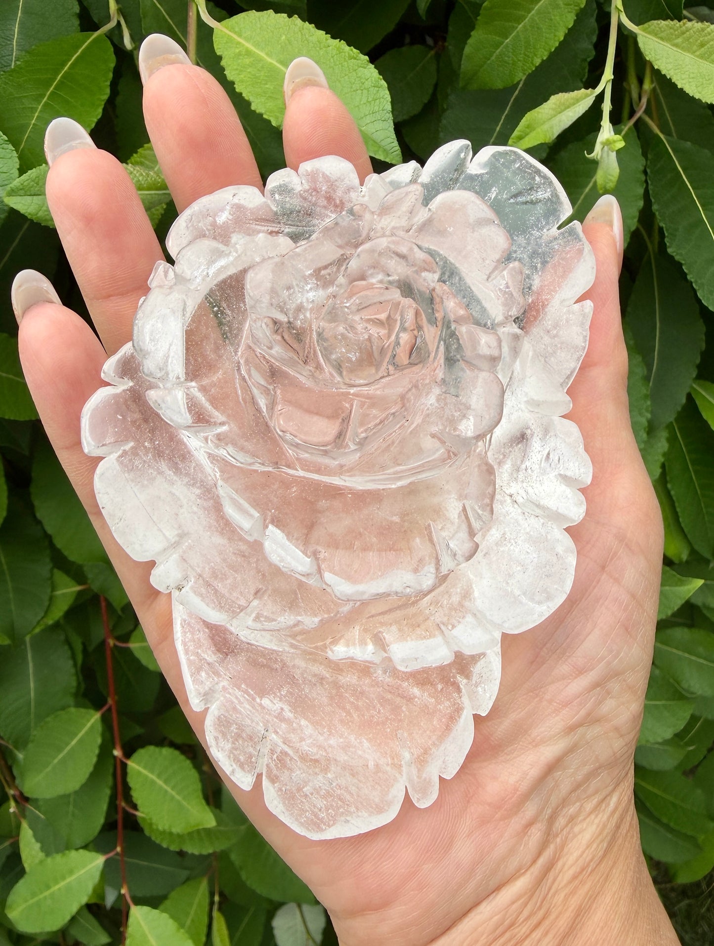 4-5 pcs Natural Clear Quartz Rose Carving Crystals Healing Energy