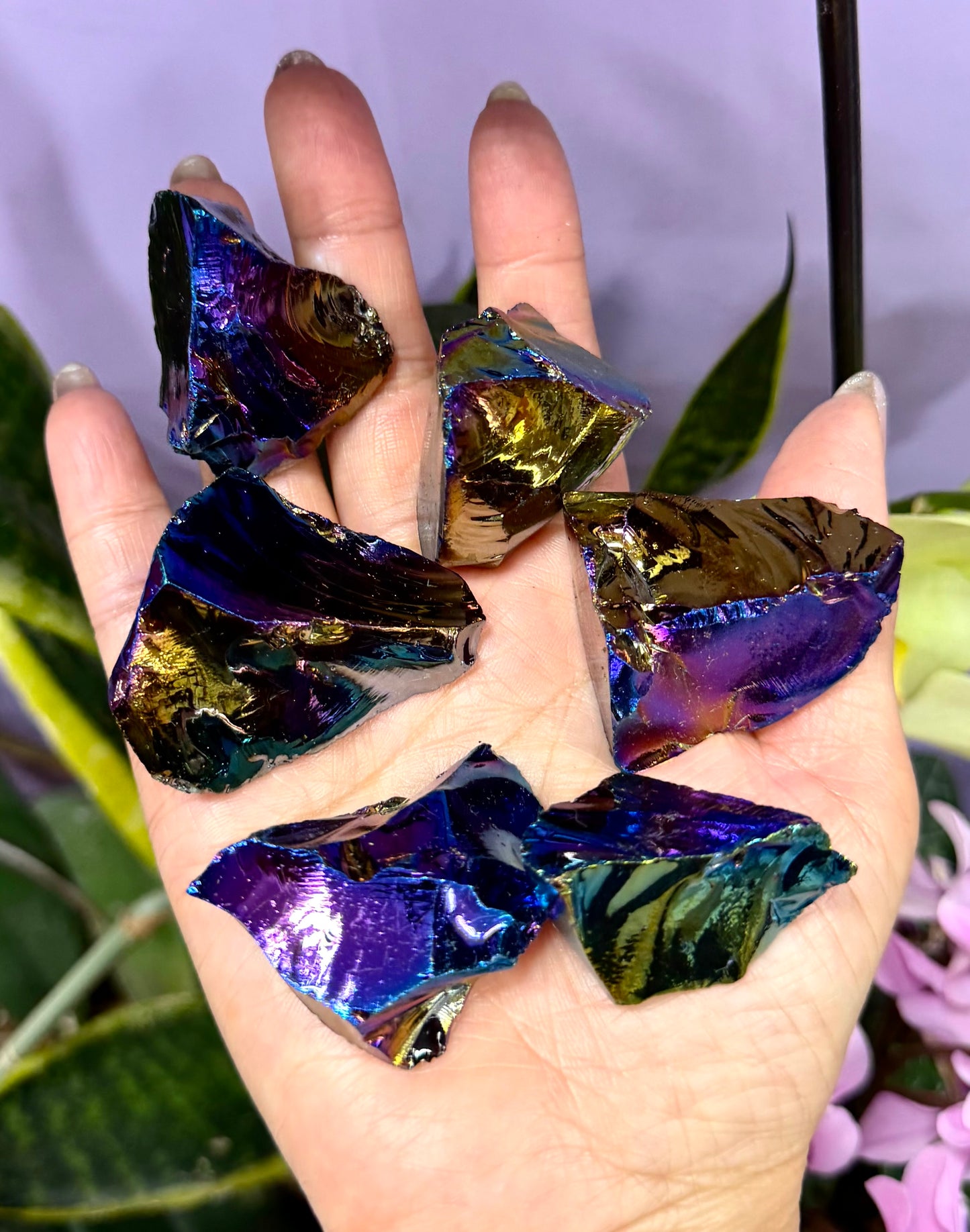 2 lb Titanium Aura Black Obsidian Rough Crystal