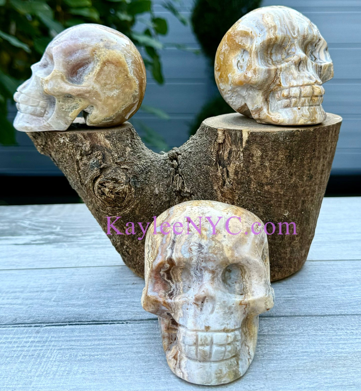 Wholesale lot 3 Pcs Natural Crazy Lace Agate Crystal Skull