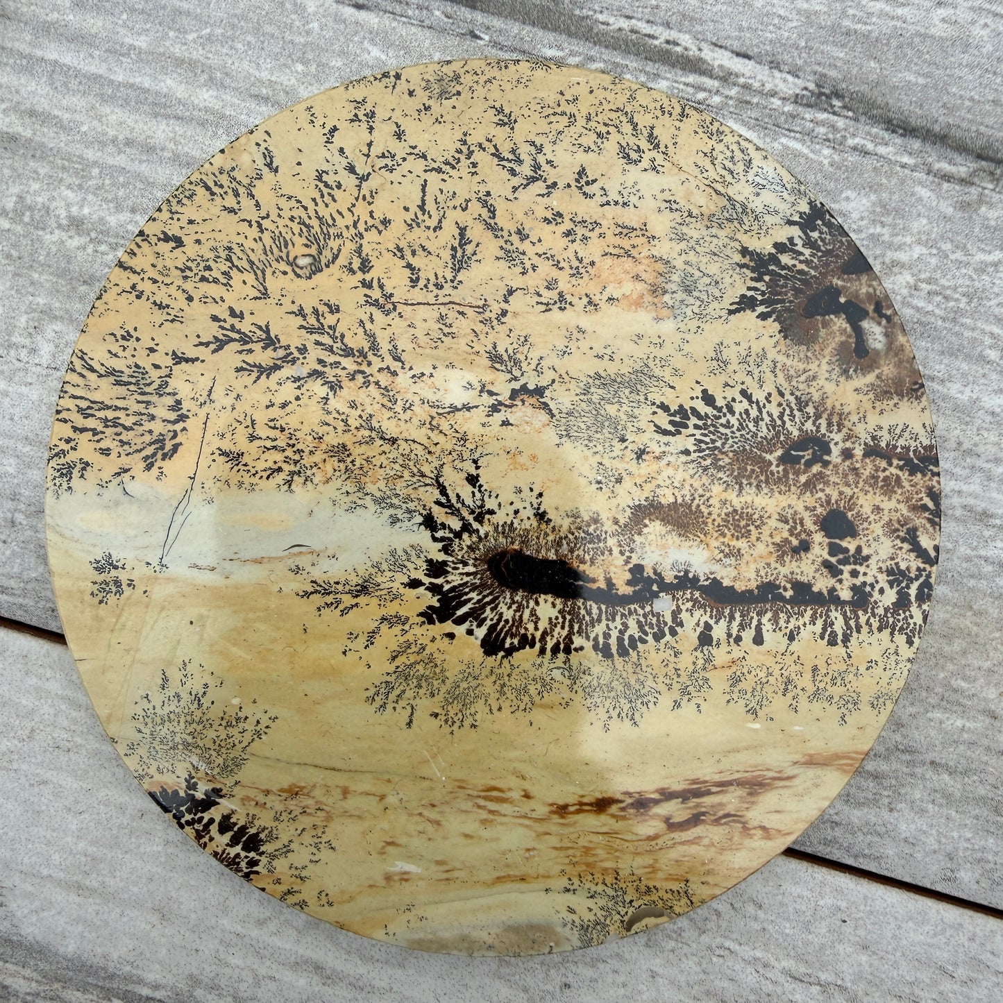 Wholesale Lot 4 pcs Natural Picture Jasper Slab with stand Crystal Healing Energy