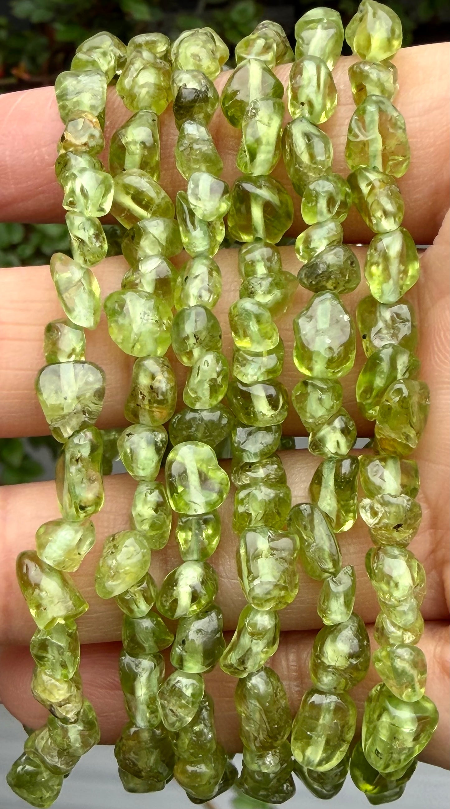Wholesale 6 Pcs 5mm Natural Peridot 7” Crystal Healing Stretch Bracelet