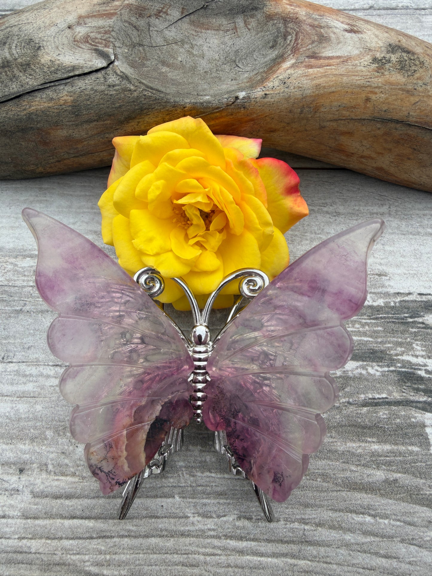 Wholesale Lot 5 pcs Natural Purple Fluorite Crystal Butterfly Healing