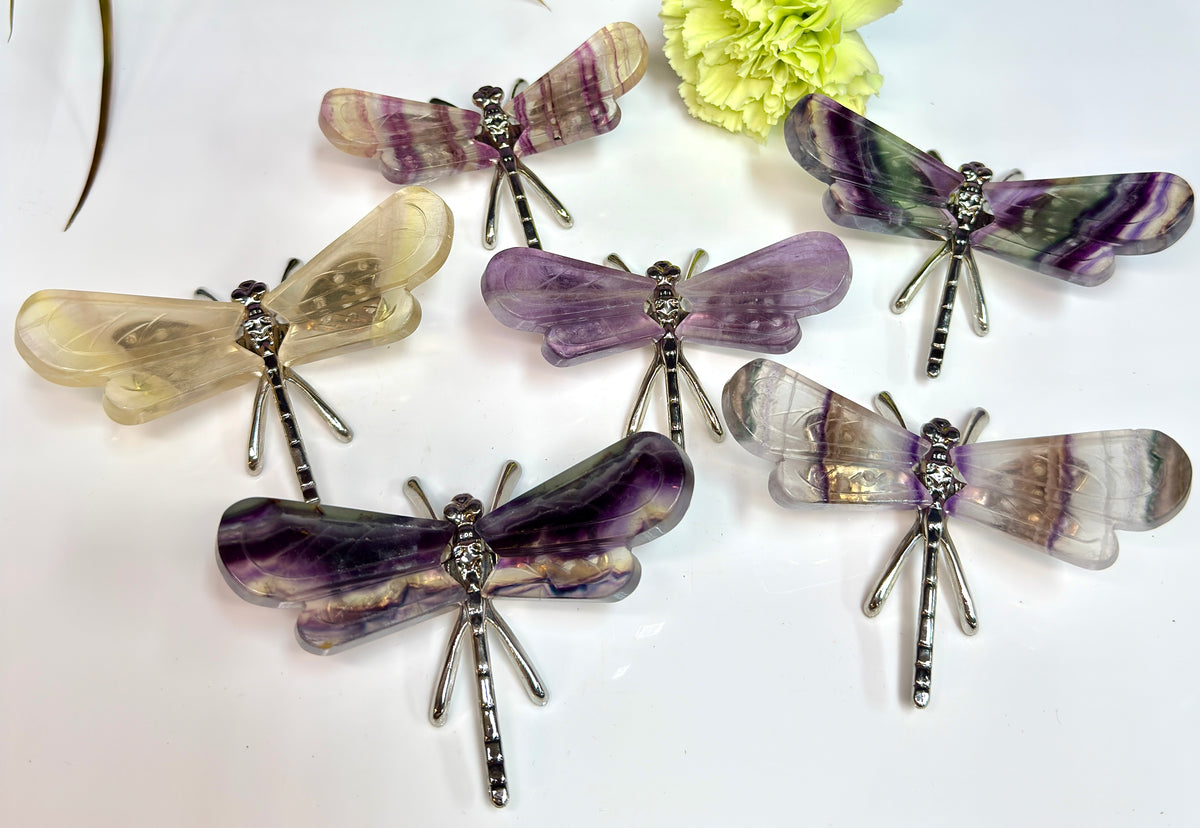 Wholesale Lot 6 PCs Natural Fluorite Crystal Butterfly w/stand Healing Energy