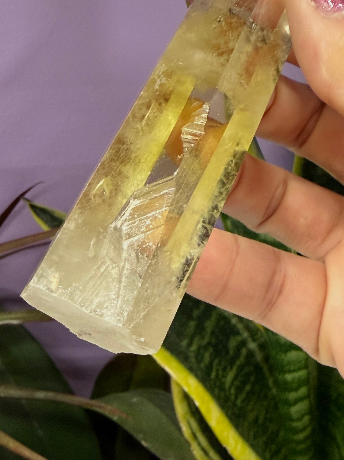 Wholesale Lot 2 lbs Citrine Obelisk Tower Point Crystal Energy Healing