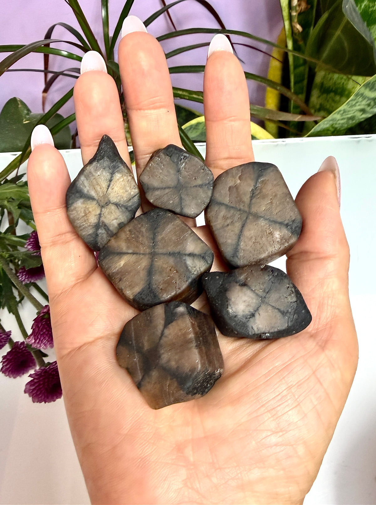 Wholesale Lot 2 lbs Natural Chiastolite Tumble Andalusite Cross Stone Crystal Healing Energy