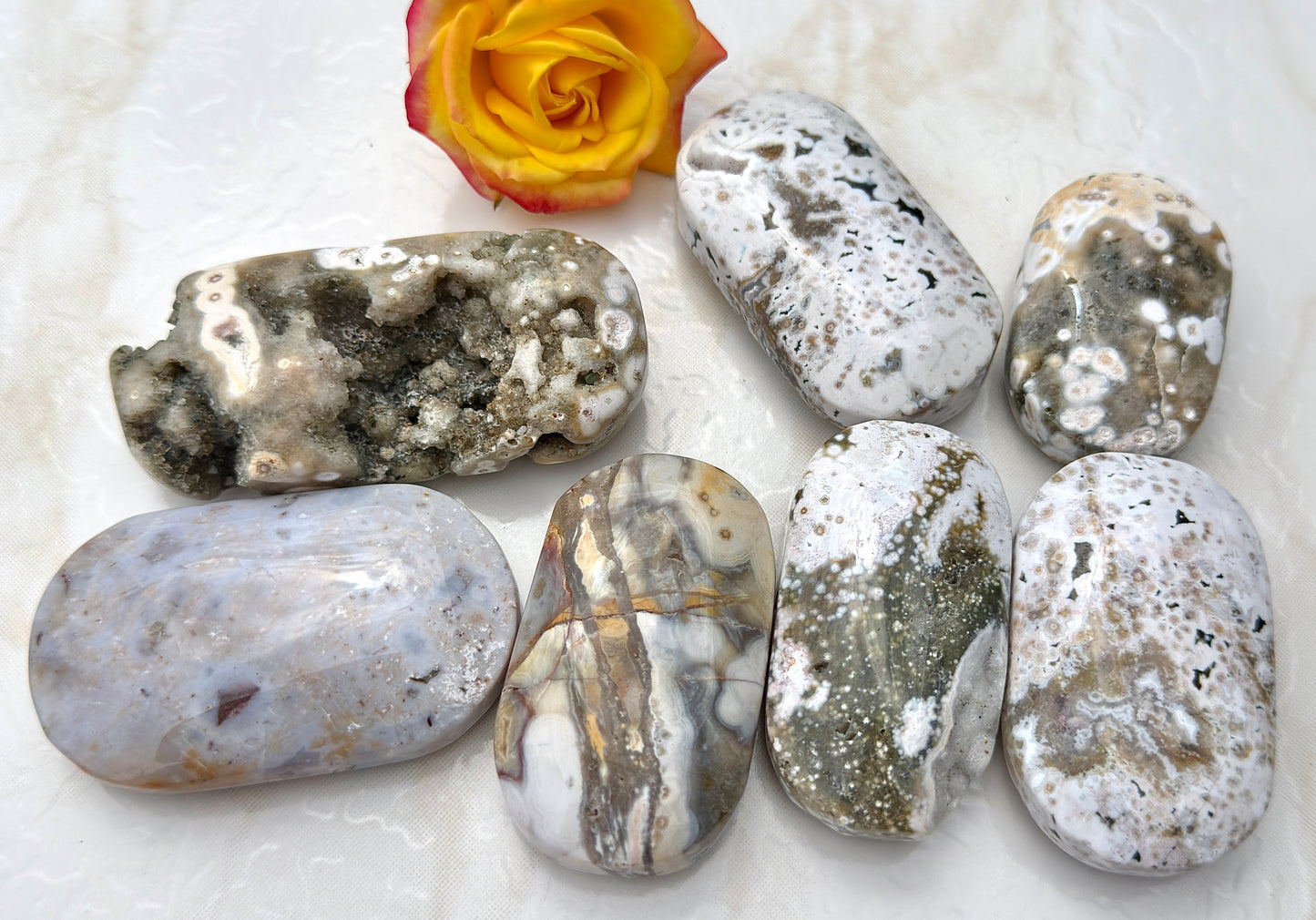 Wholesale 1 lb Lot Natural Ocean Jasper Palm Stone Crystal Energy