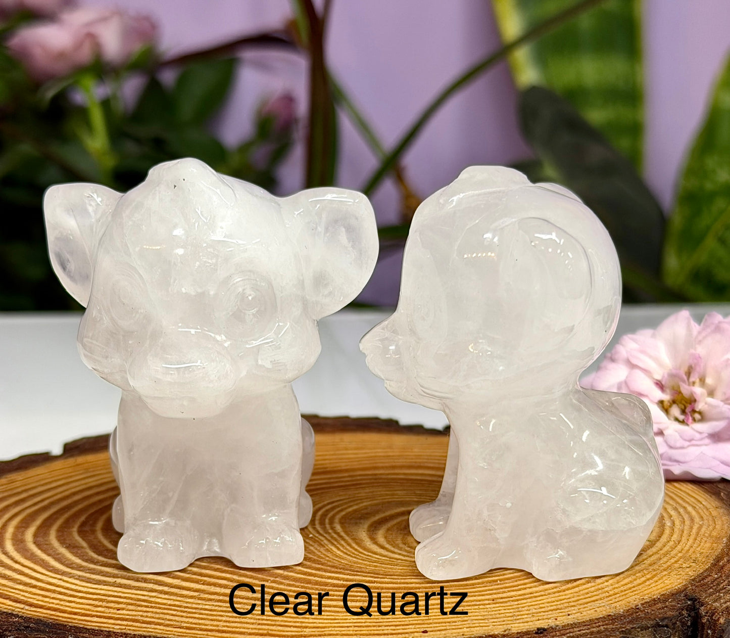 5PCs 6cm Mixed Natural Crystal Lion Cub King Healing Energy