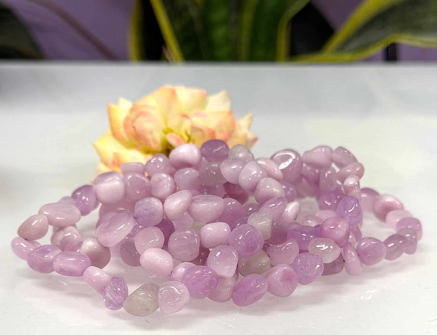 Wholesale 6 Pcs 6mm Natural Kunzite tumble Stretch Bracelet Crystal Healing Energy 7.5”