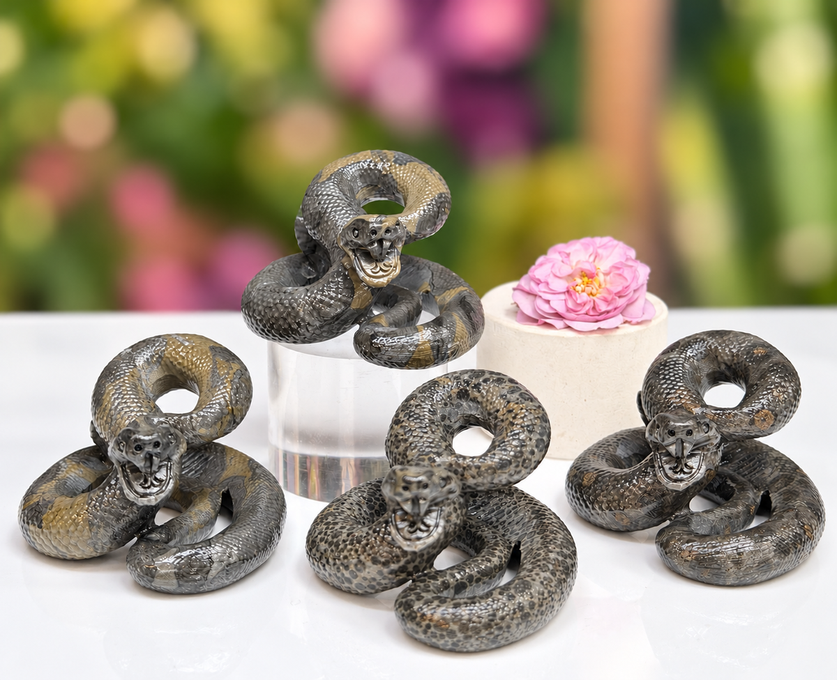 Wholesale Lot 4 Pcs Natural Money Stone and Leopard Stone Snakes Healing Energy